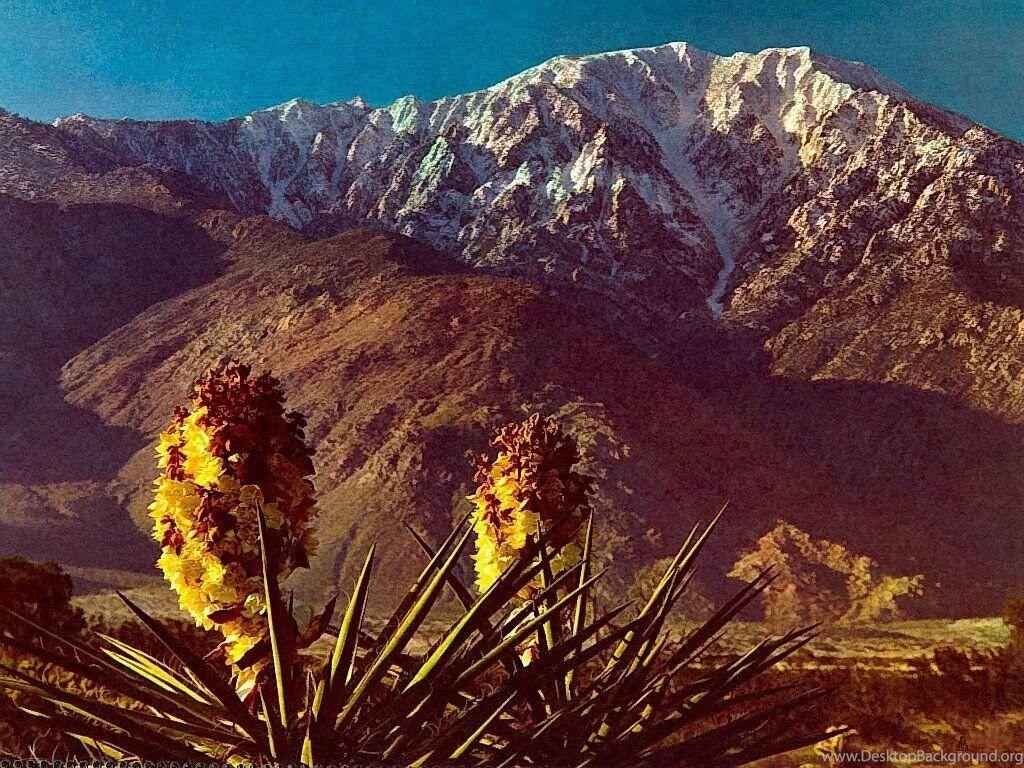 Mt San Jacinto Southern California Nature Wallpaper Image