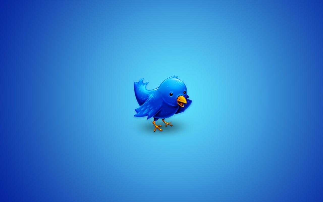 Twitter bird wallpaper. Twitter bird
