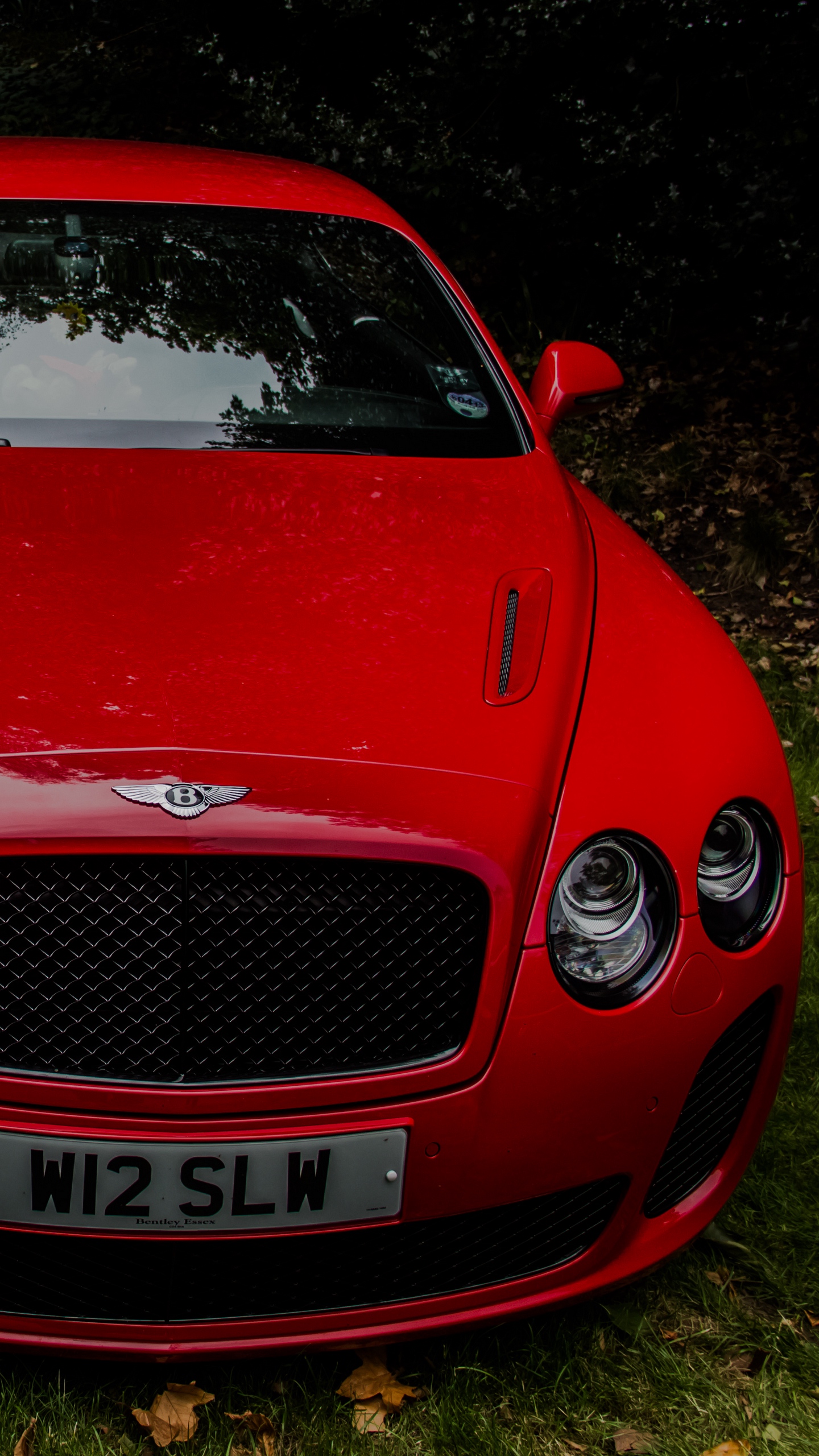 Download wallpaper 1440x2560 bentley continental gt, red, front view
