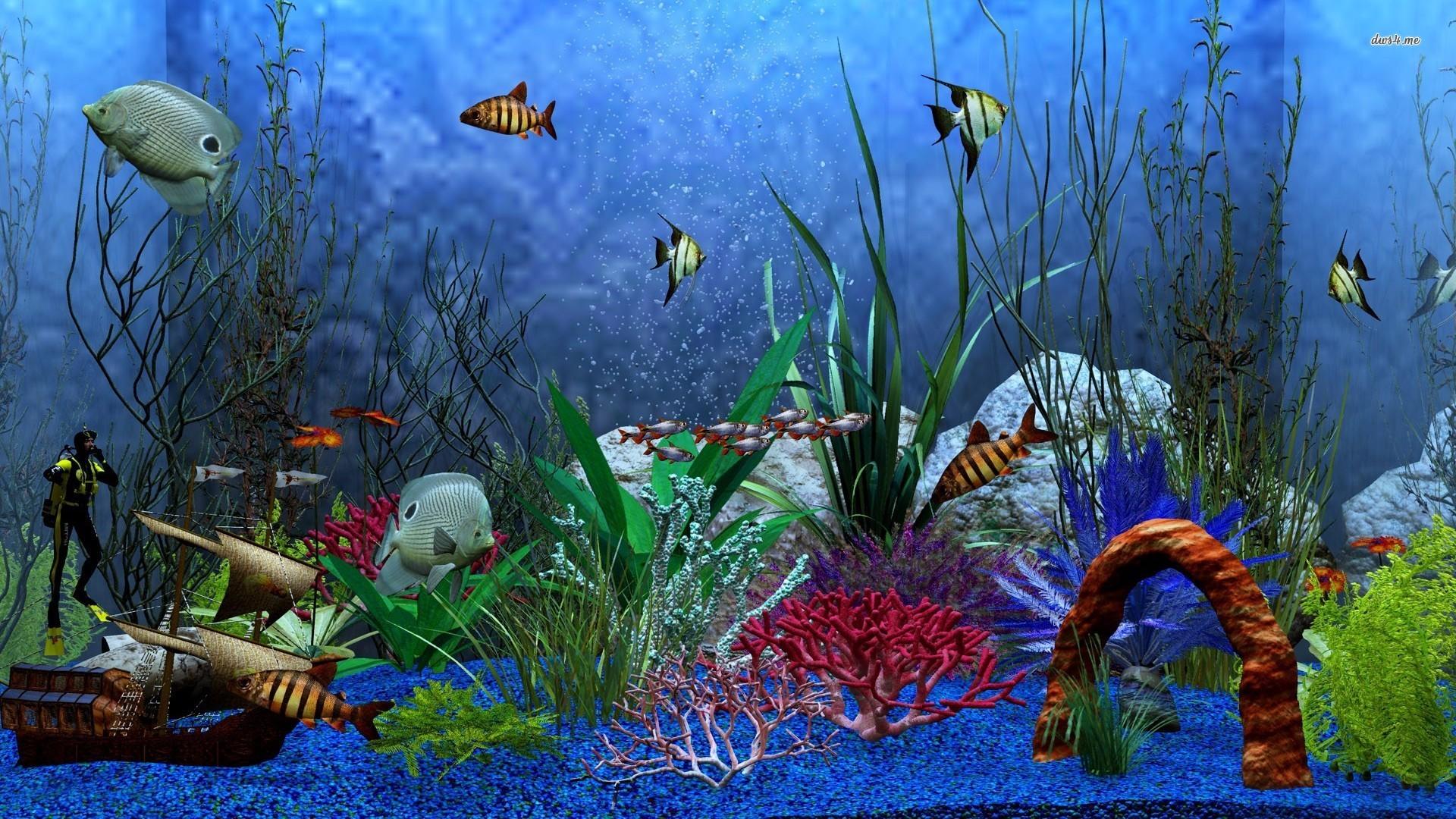 Fish Tank Wallpaper