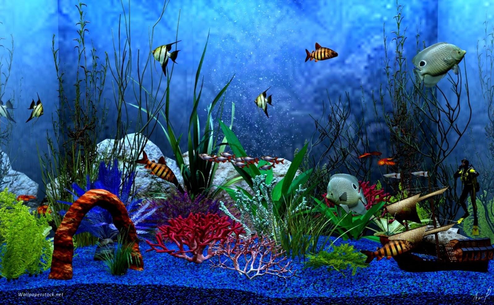 Lovely Free Download Animated Aquarium Desktop Wallpaper for Windows