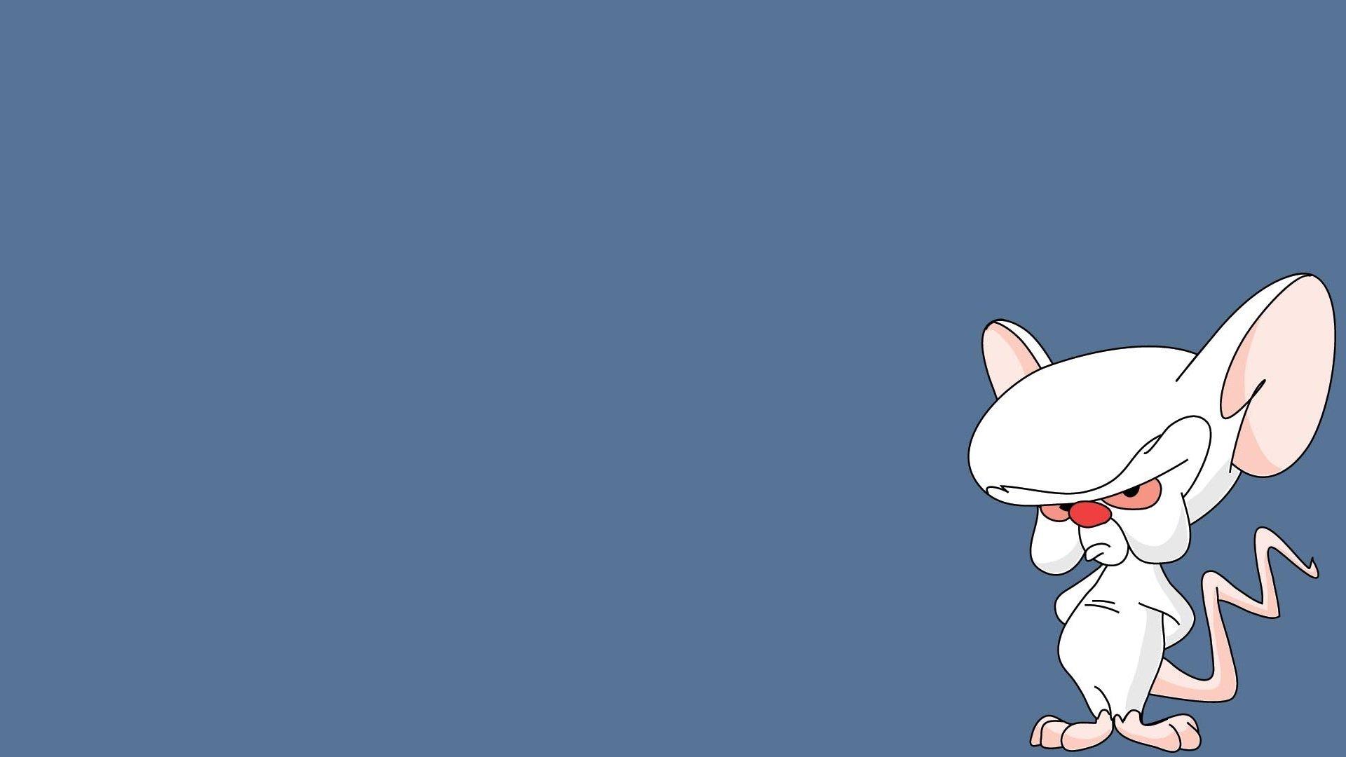 Pinky And The Brain Wallpaper and Background Image