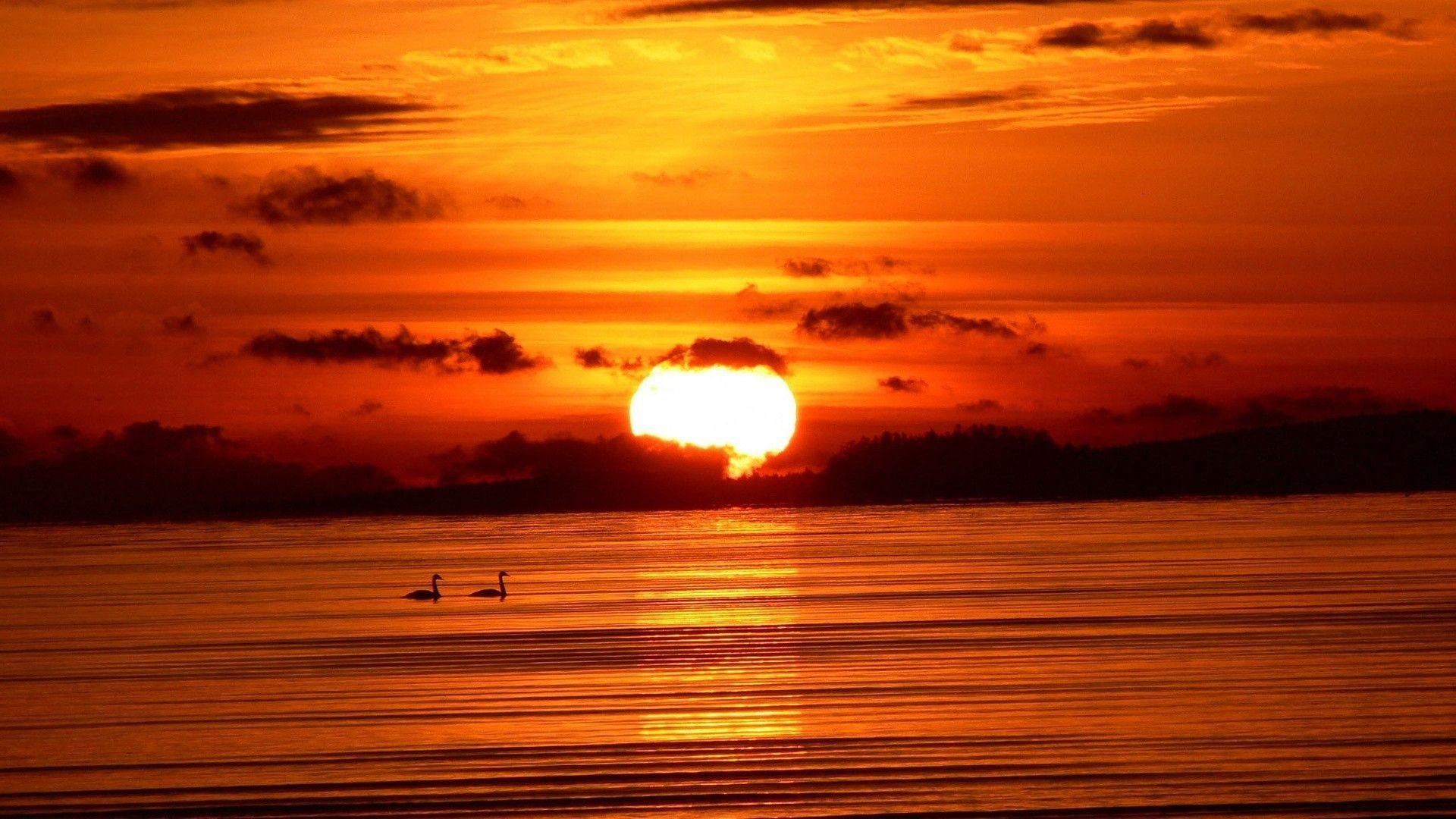 Beach Sunset Background HD Wallpaper > Flip Wallpaper > Download
