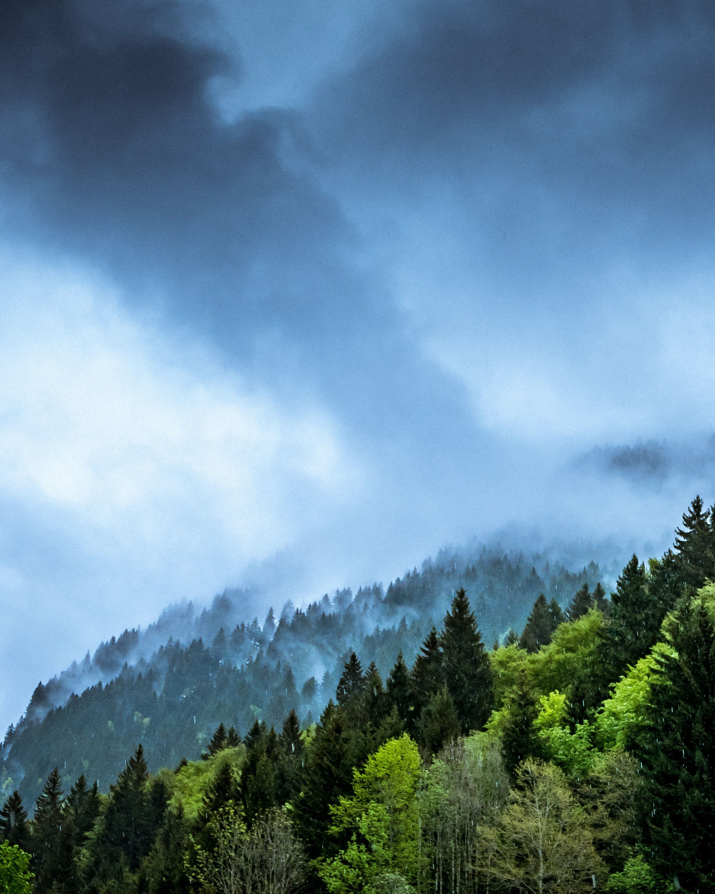 Nature #tree, mountain, cloud, fog, mist #wallpaper HD 4k