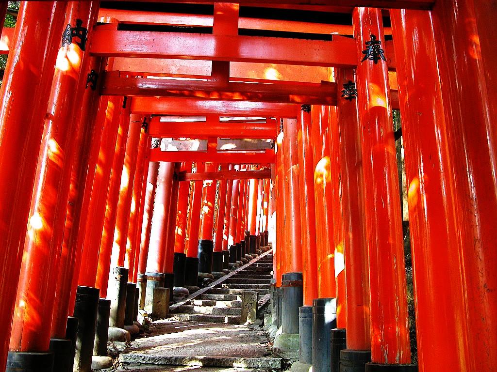 Torii Tag wallpaper: Shrine Gate Temple Japanese Forest Japan Torii