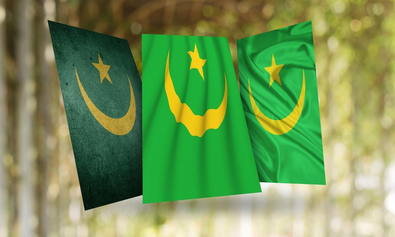Mauritania Flag Wallpaper for Android