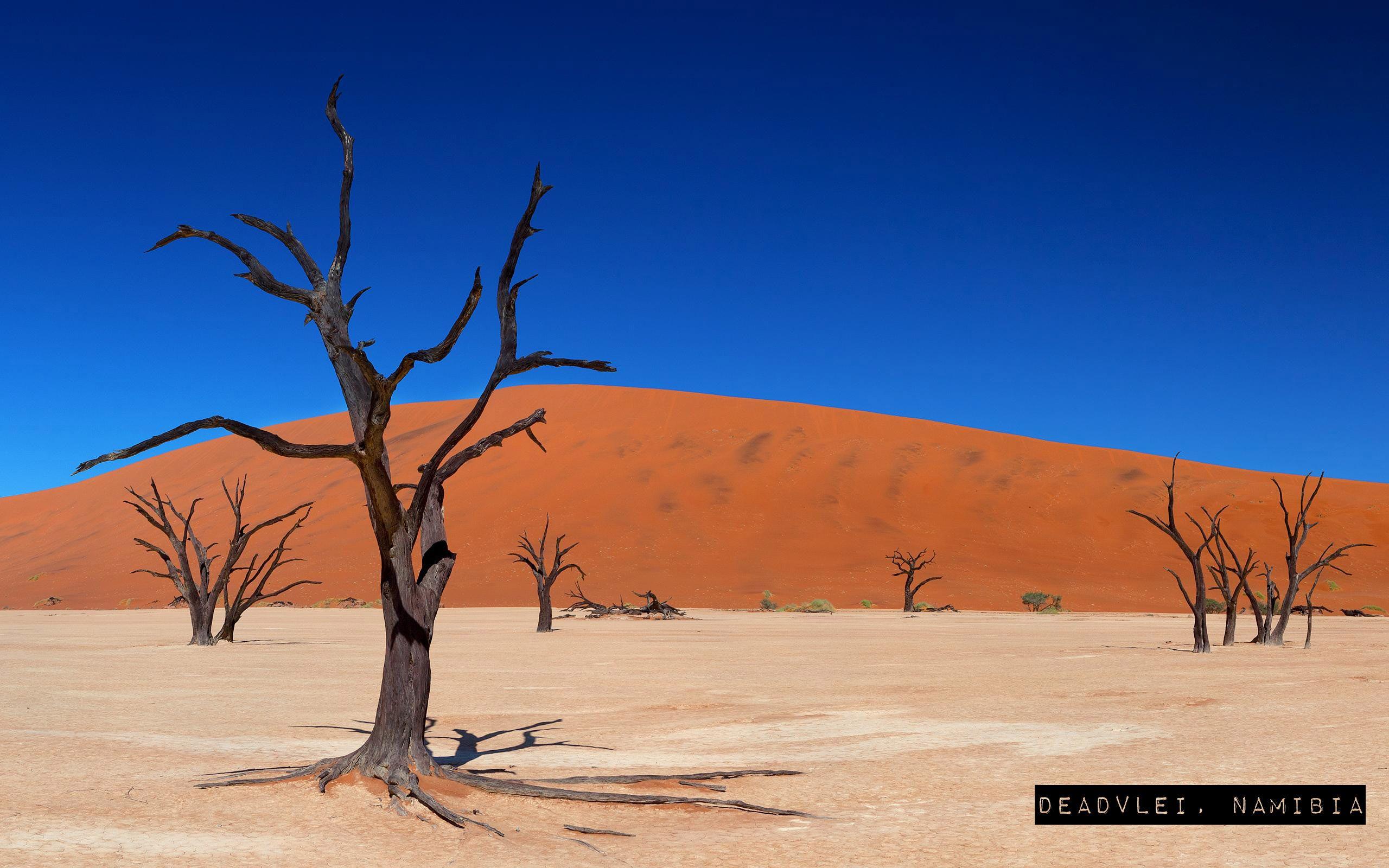 Deadvlei, Namibia places to see before you die. Wallpaper