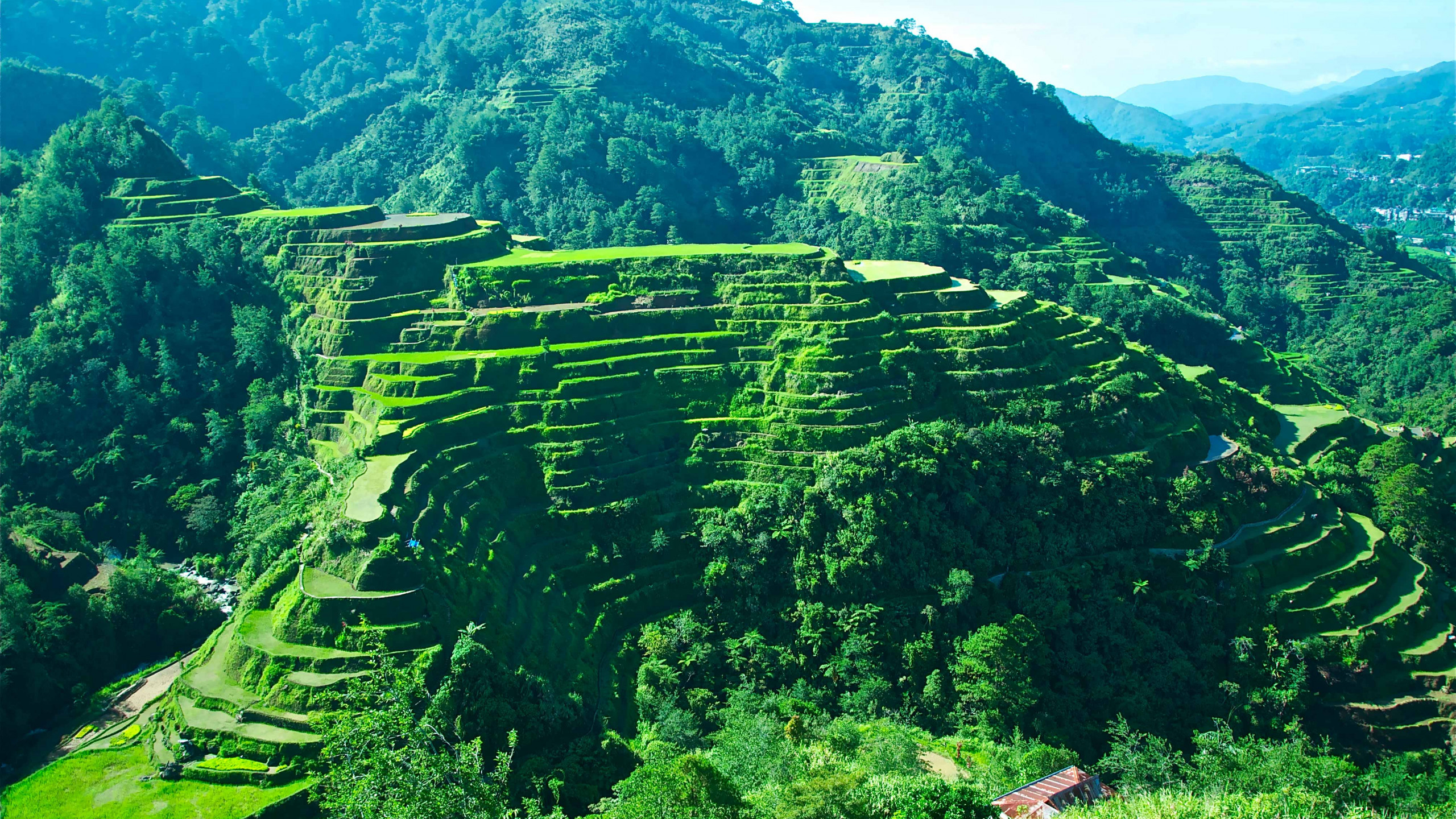 Wallpaper Cropper Rice Terraces 2560 by 1440 (990)