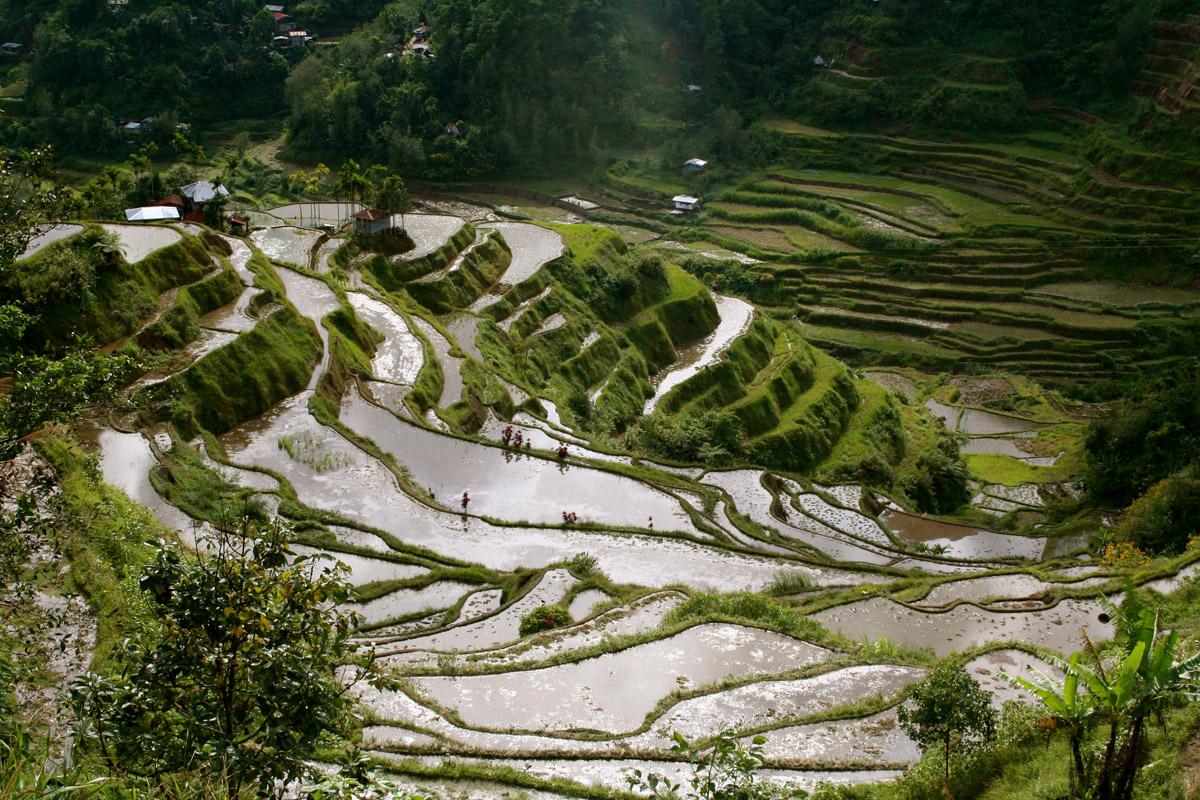World Visits: Famous Place Banaue Rice Terraces 2000 Years Old Mountains