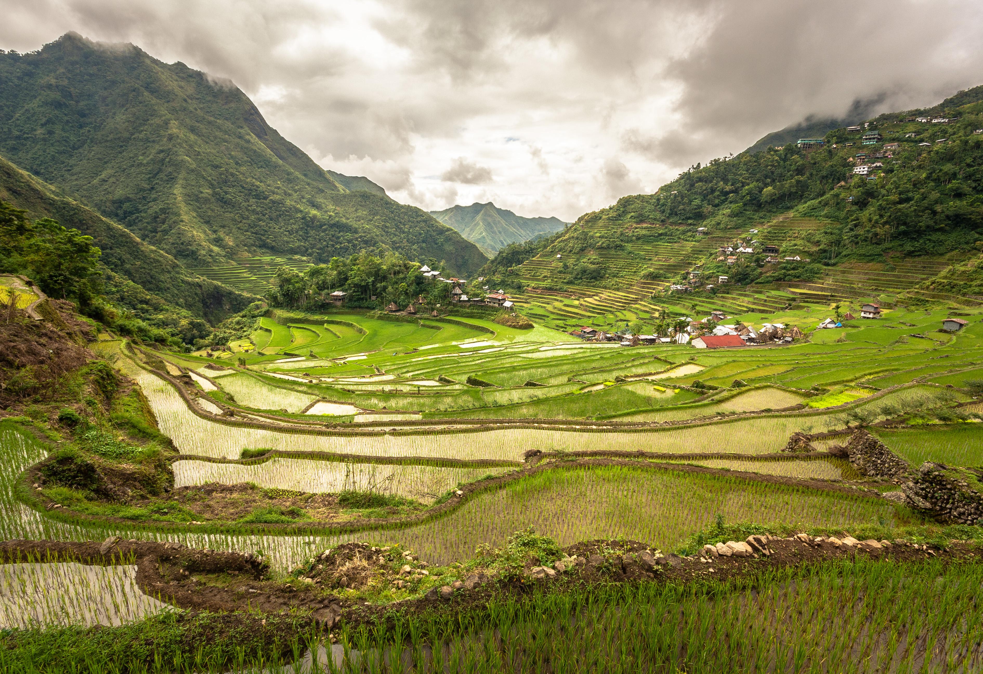 Philippines' Famed Banaue Rice Terraces by Adi Simionov 3782 × 2592
