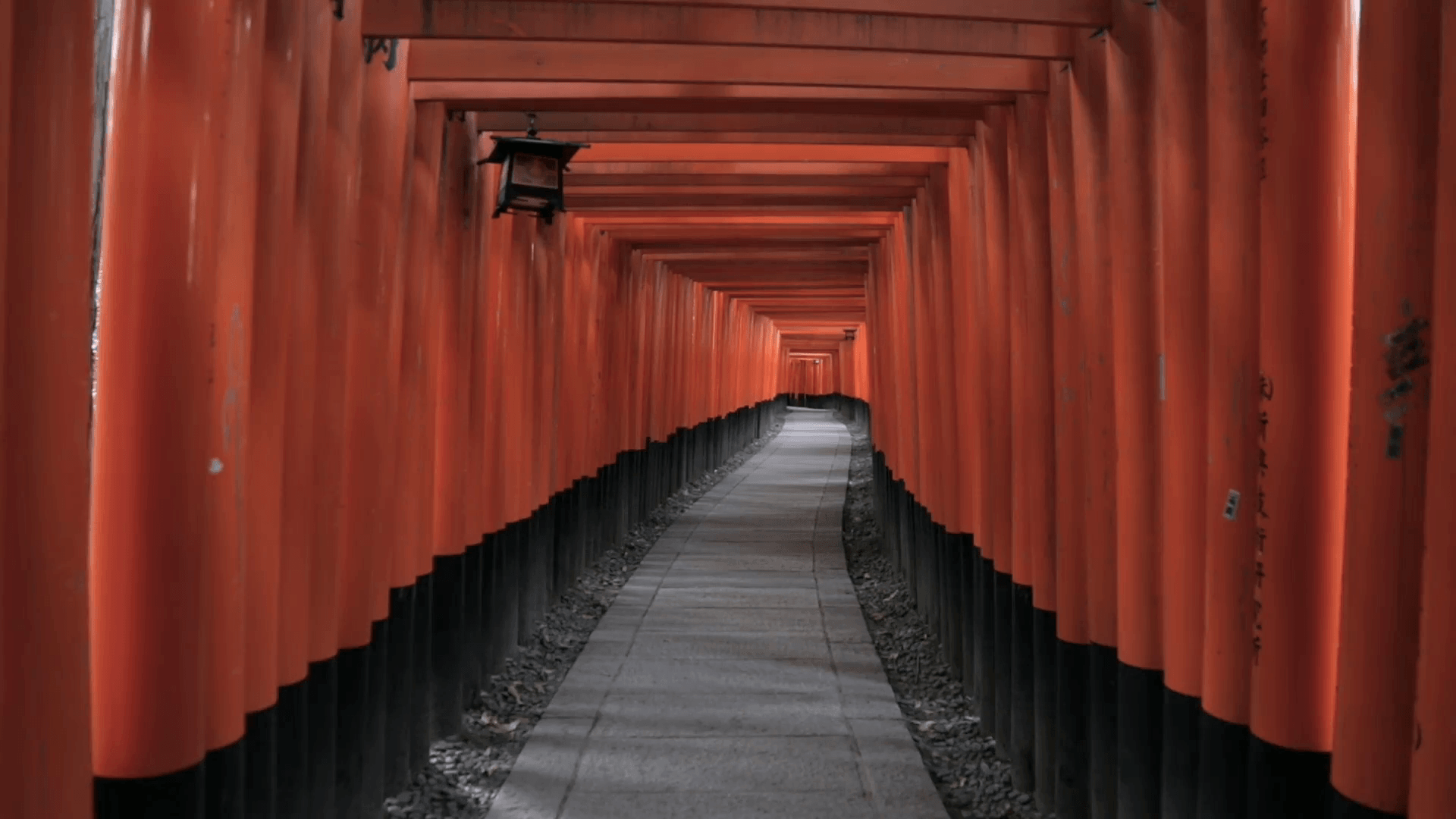 Red Torii Gates At Fushimi Inari Shrine, Kyoto, Japan Stock Video