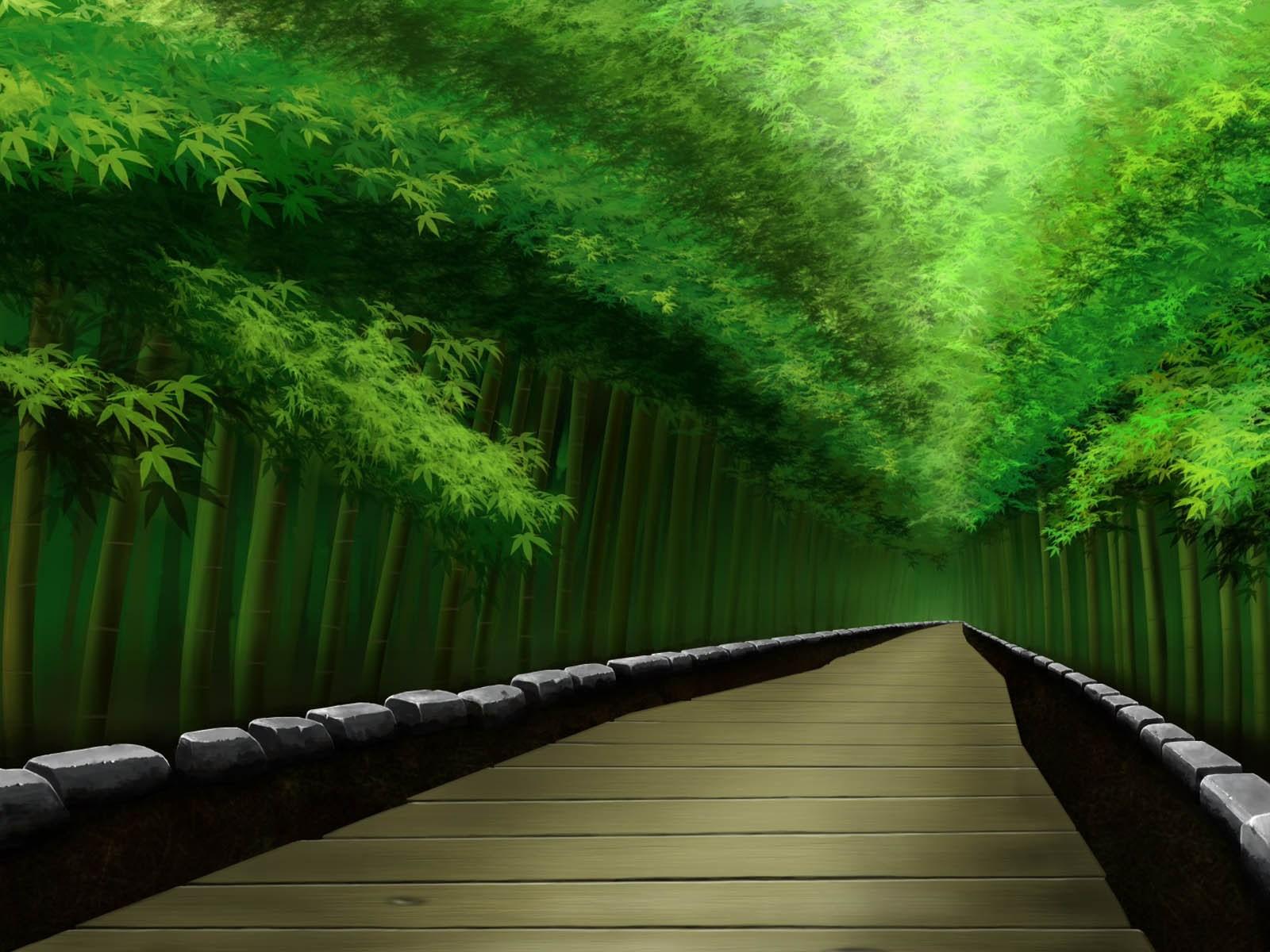 Bamboo Forest Japan Wallpaper. Bamboo Rain Forest Wallpaper In Japanese