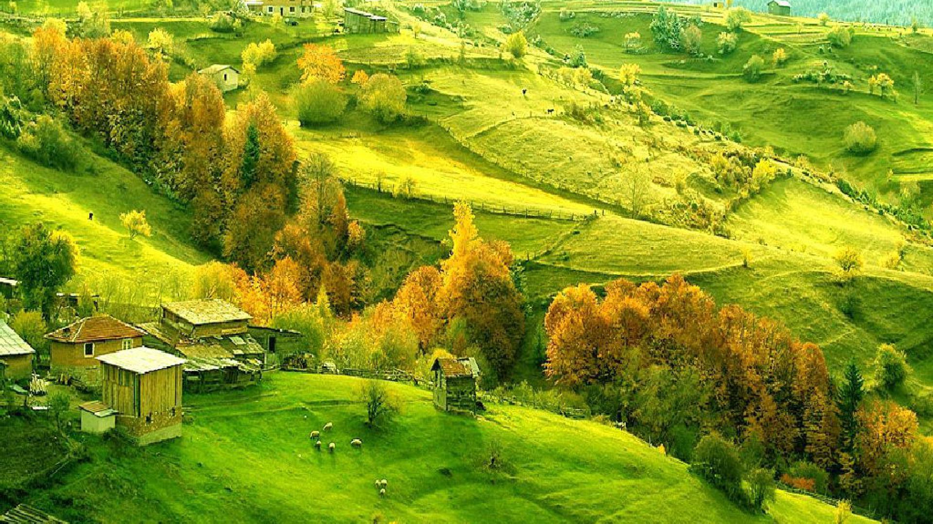 1920x1080px Tuscan Countryside Wallpaper Desktop