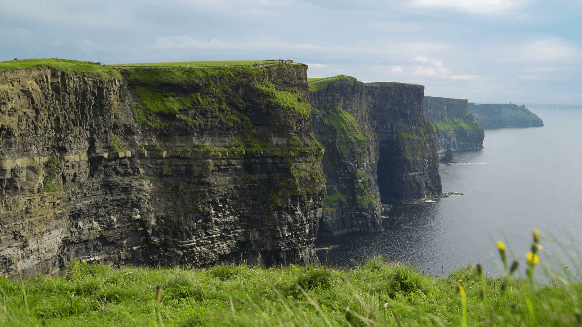 Beautiful Cliffs of Moher in Ireland Stock Video Footage
