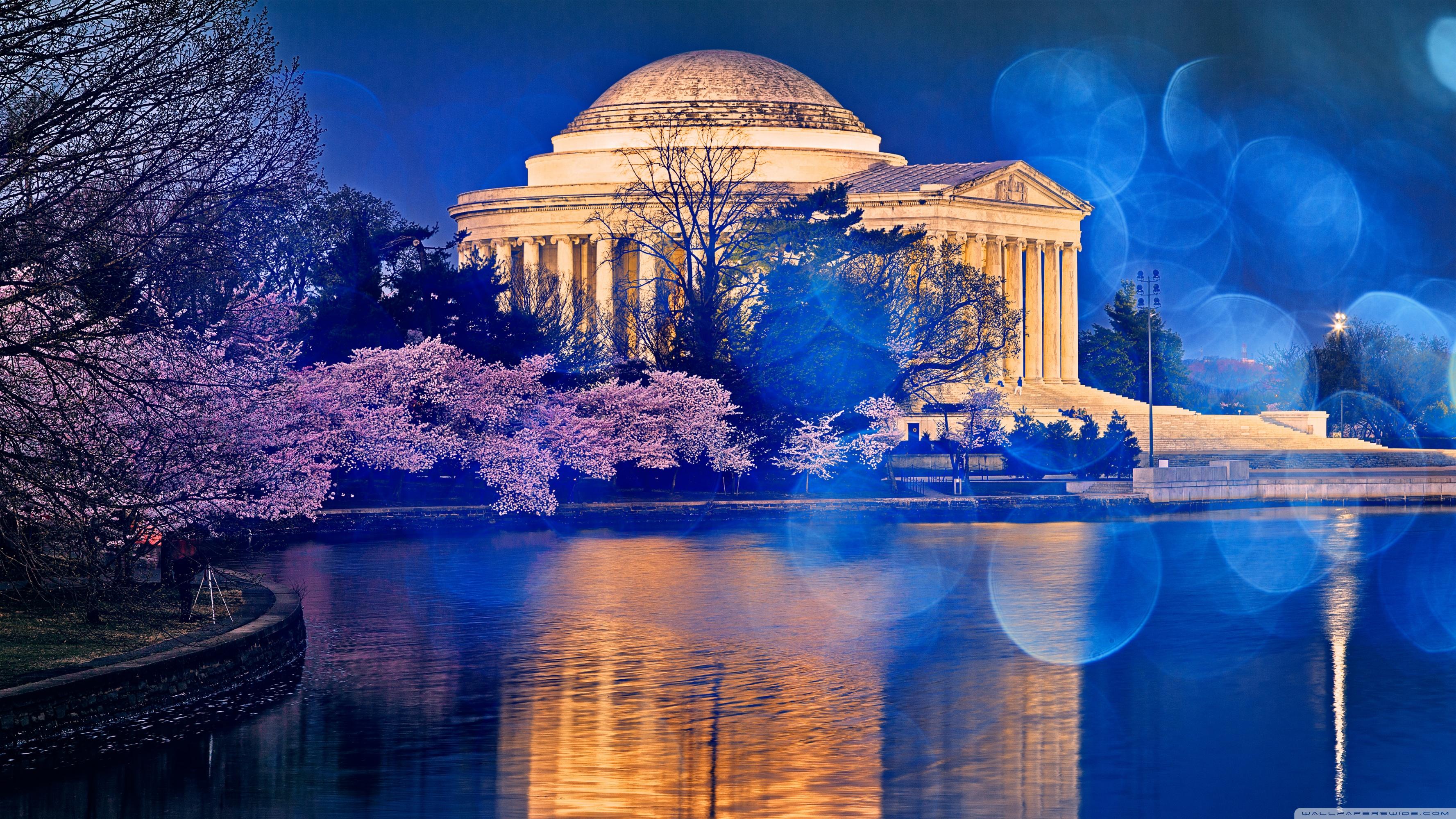 Thomas Jefferson Memorial Cherry Blossom ❤ 4K HD Desktop Wallpaper