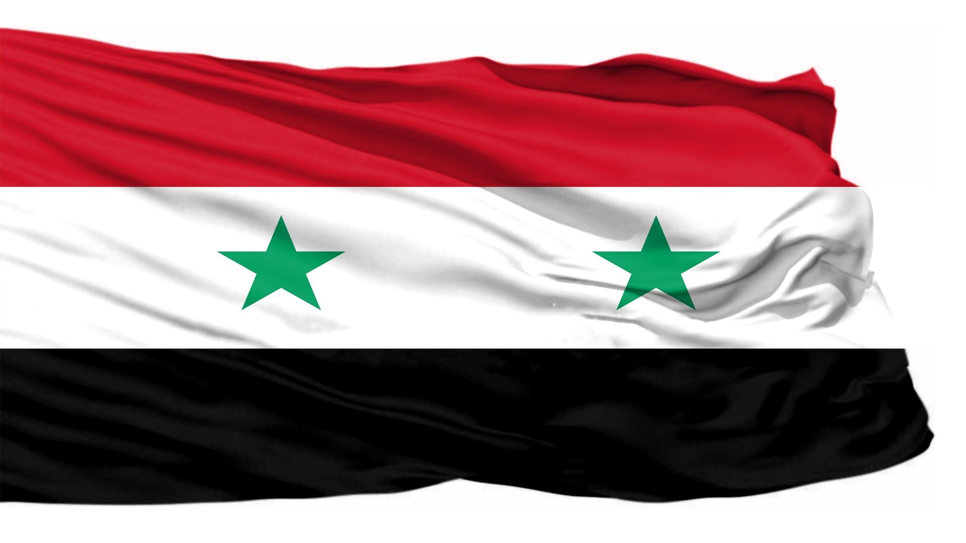 Free of Syria, Syria Flag