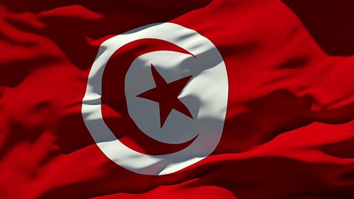 Tunisia Flag Wallpaper for Android