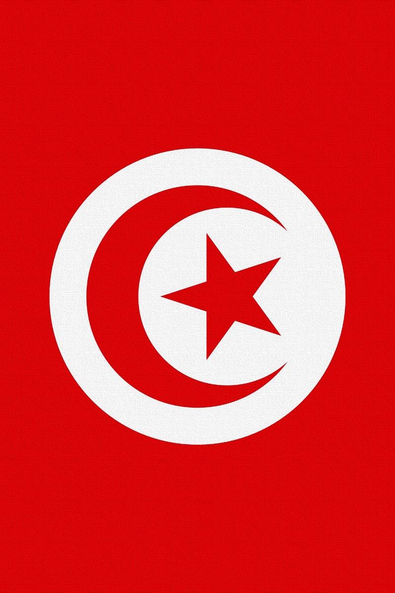 Download Wallpaper 800x1200 Tunisia, Flag, Star, Symbols Iphone 4s 4