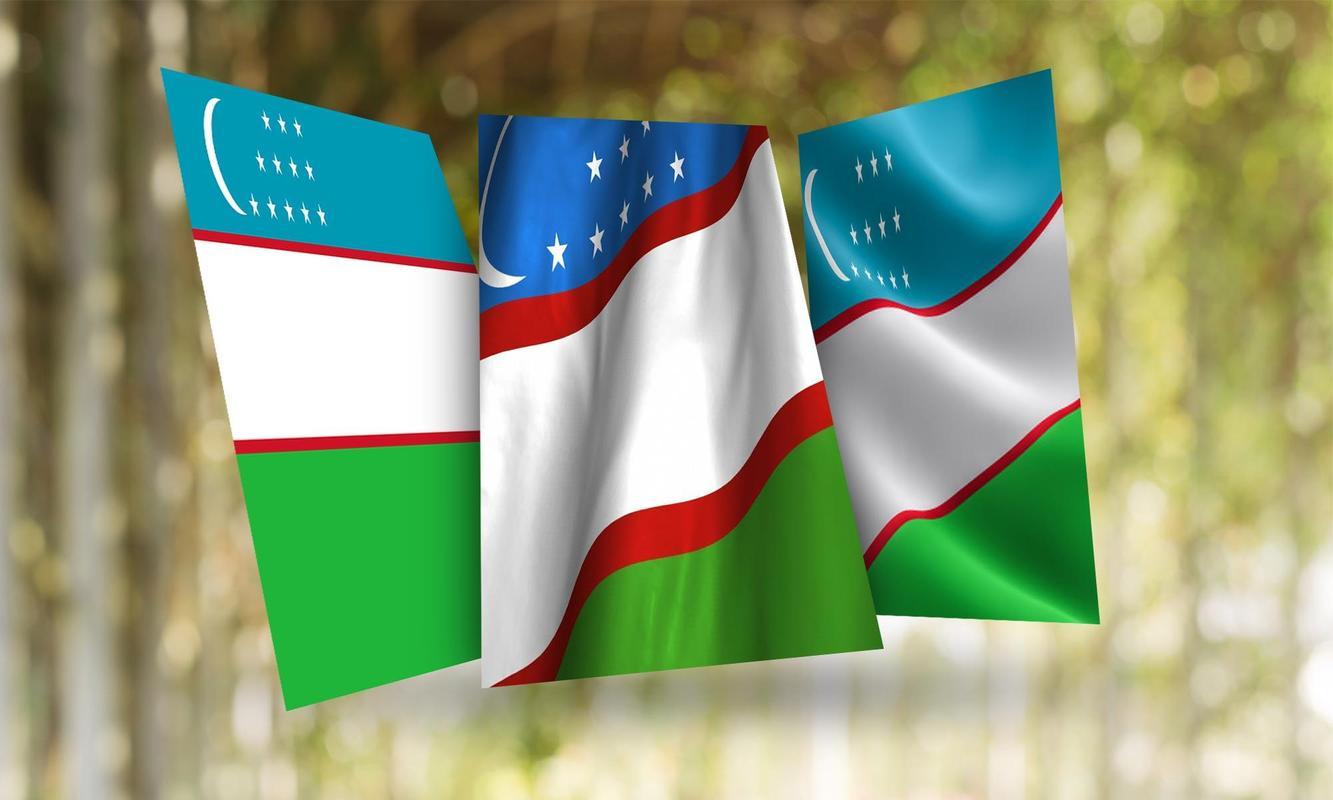 Uzbekistan Flag Wallpaper for Android