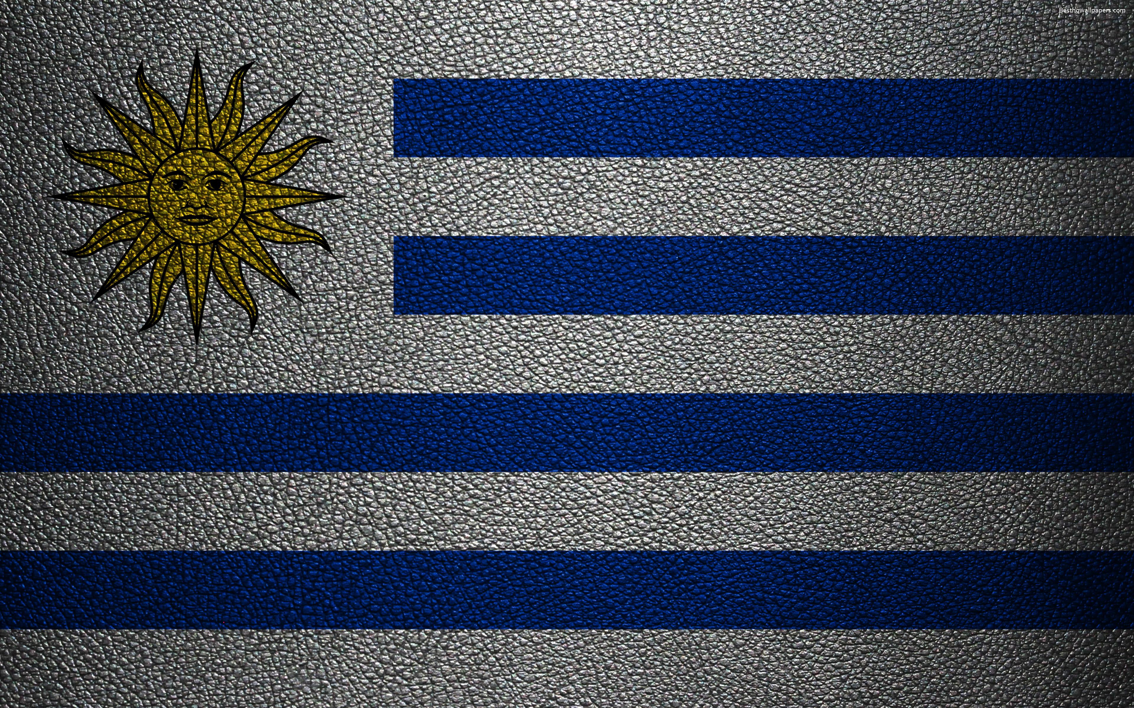 Download wallpaper Flag of Uruguay, 4k, leather texture, Uruguayan