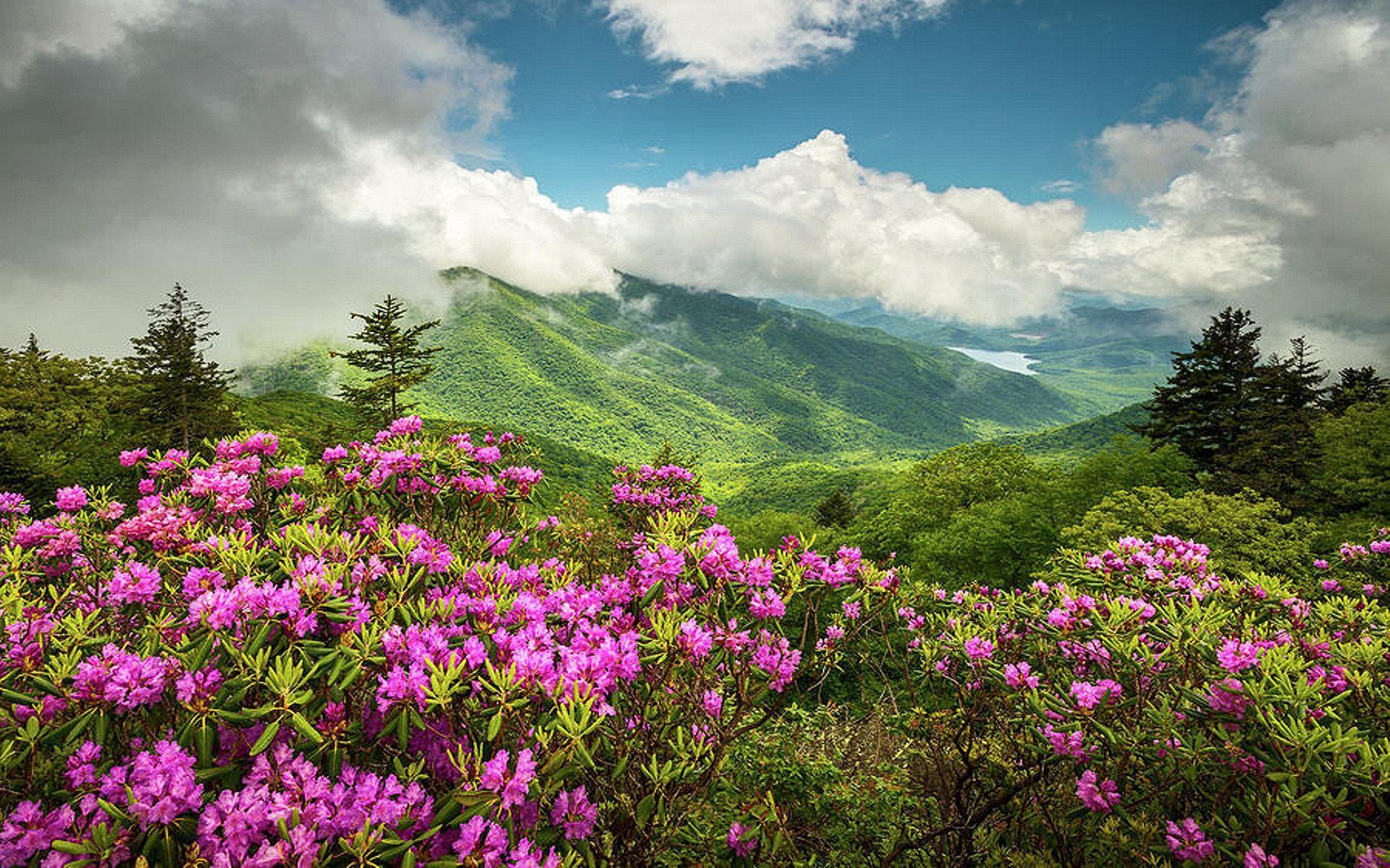 Blue Ridge Mountains Fall Wallpaper Free Blue Ridge Mountains