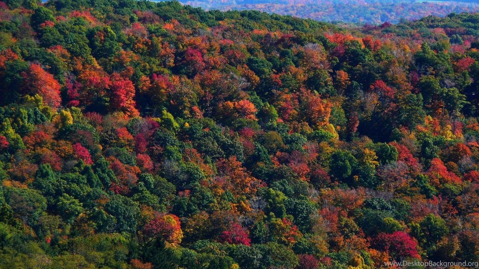 MLe Appalachian Mountains In Fall Desktop Background
