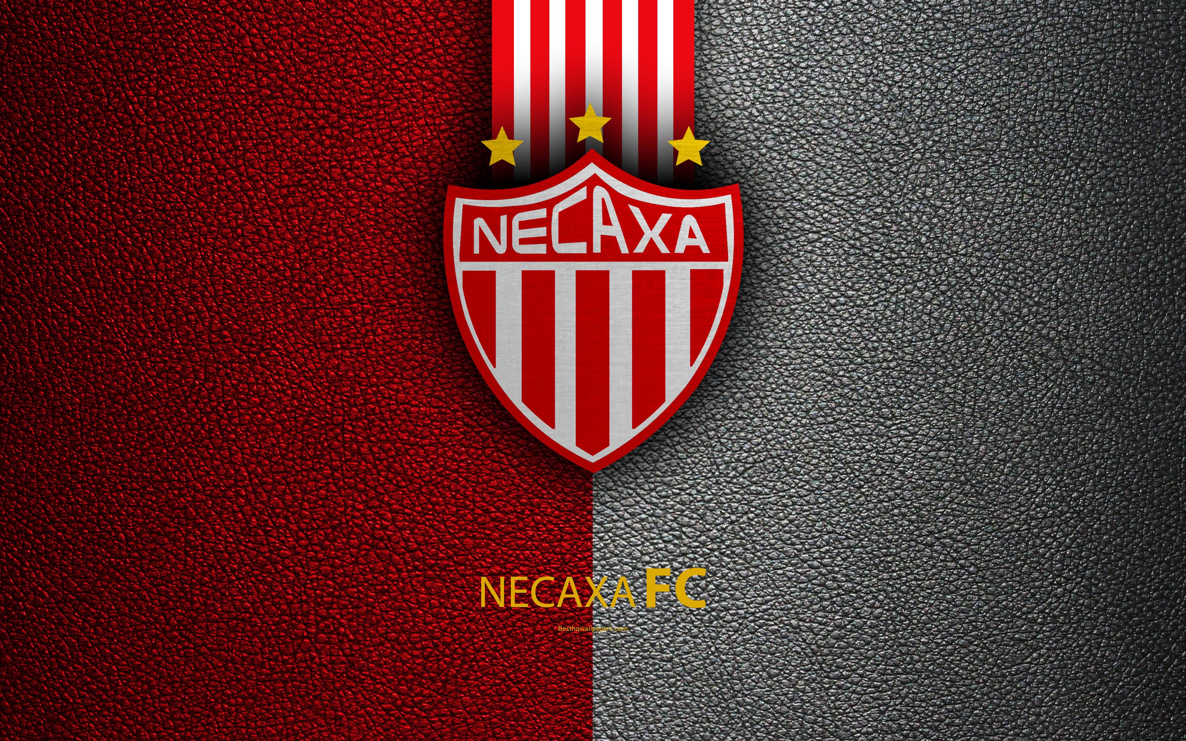 Download wallpaper Club Necaxa, Impulsora del Deportivo Necaxa, 4k