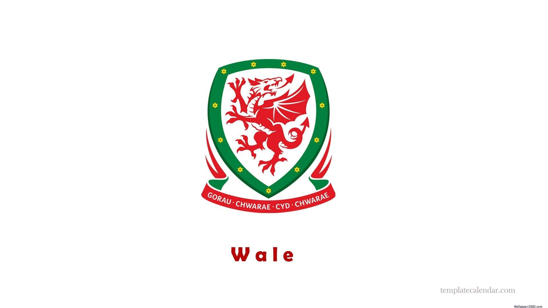 UEFA Euro 2016 Wales wallpaper