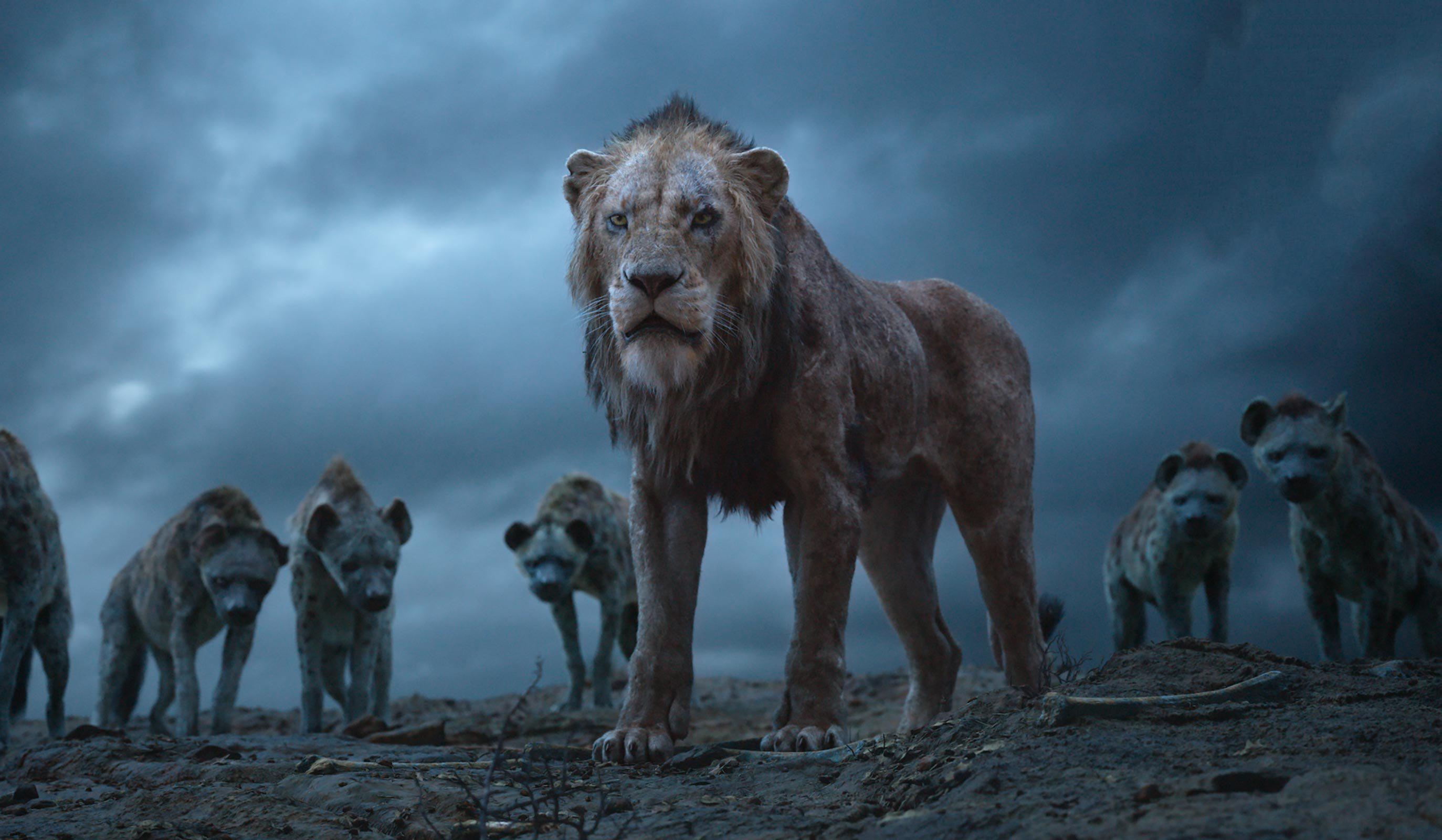Scar The Lion King HD Movies, 4k Wallpaper, Image