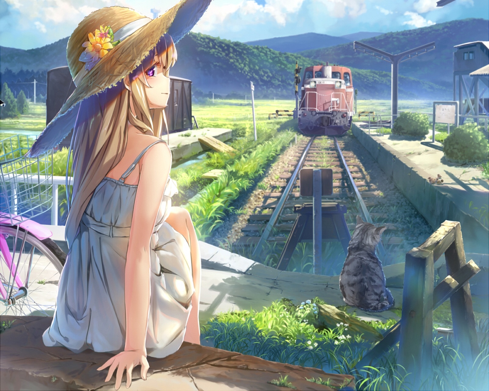 Download 1600x1280 Anime Girl, Summer Dress, Strawhat, Cat, Train