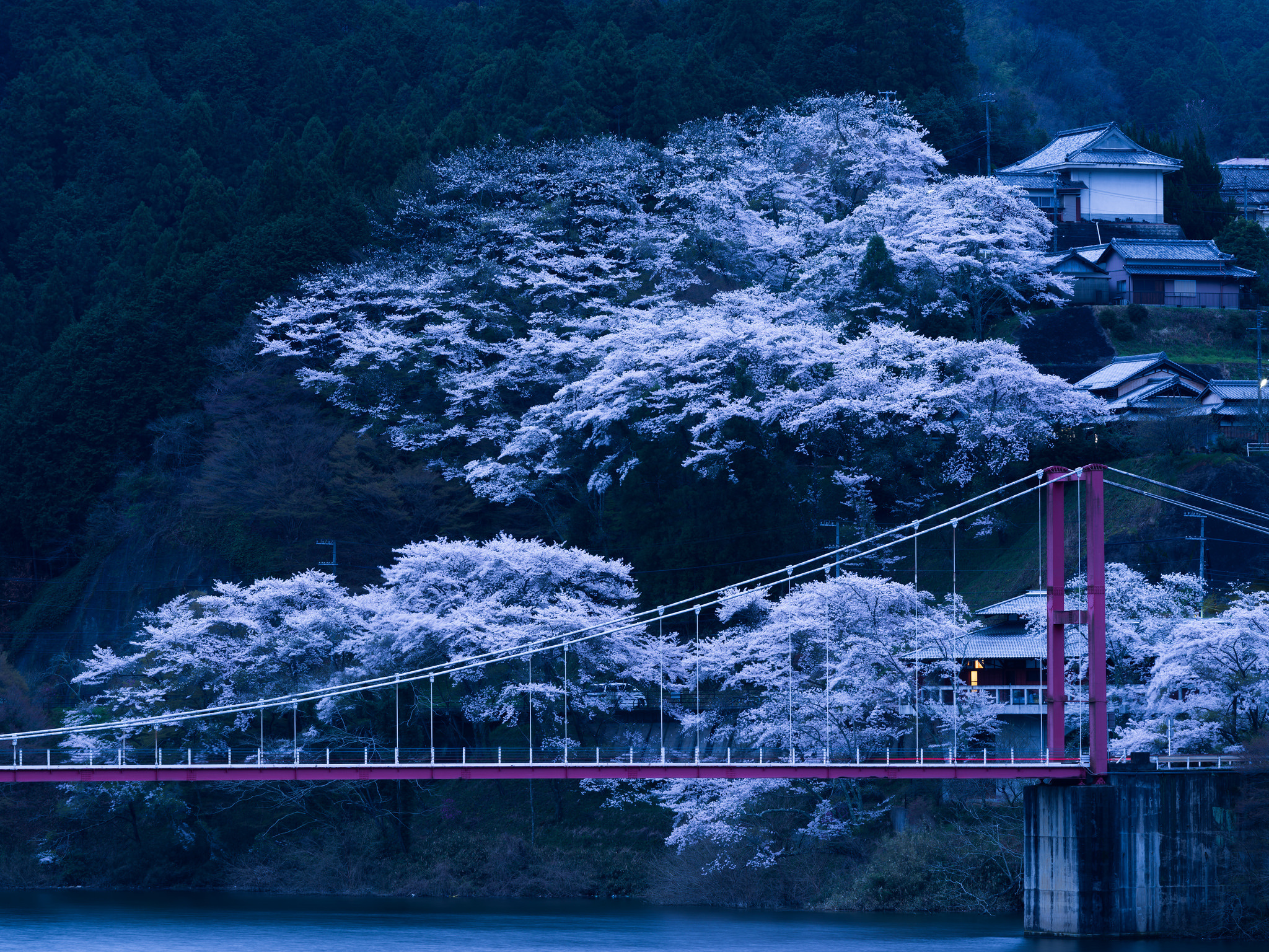 Download wallpaper 2048x1536 japan, bridge, sakura, night HD background