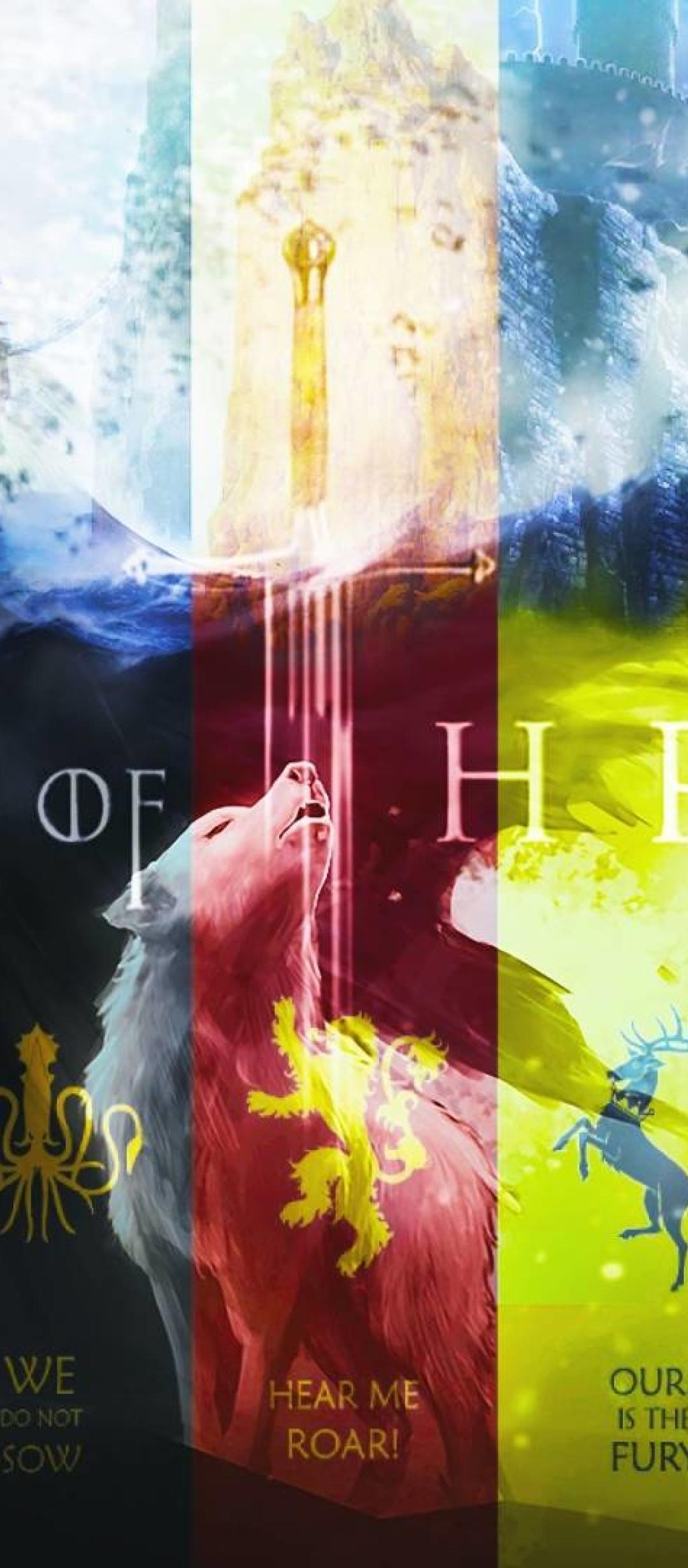 Game Of Thrones Different Flag Image 1080x2460 Resolution