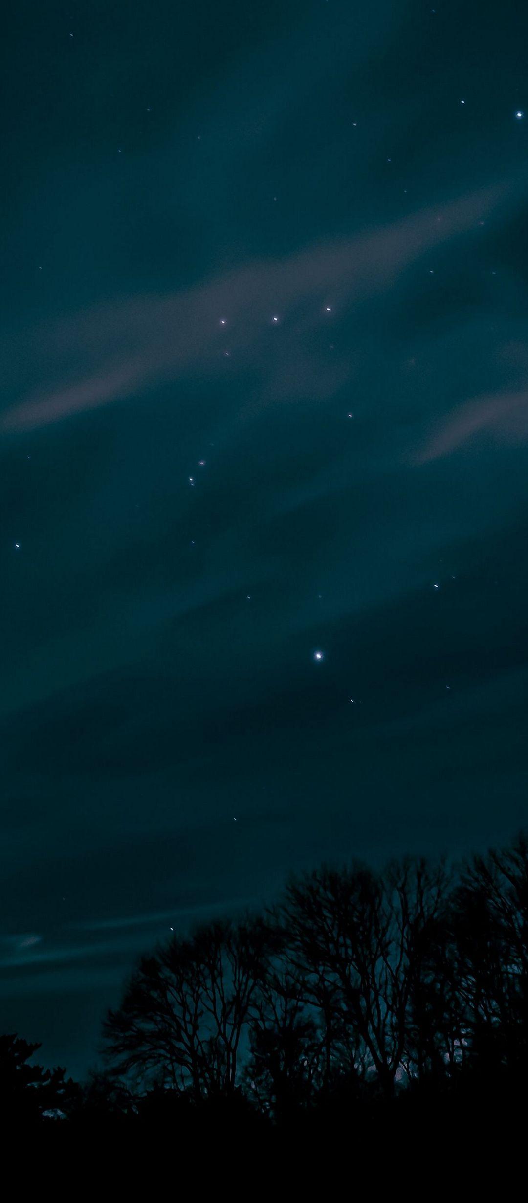 Night Sky Stars Trees - [1080x2460]