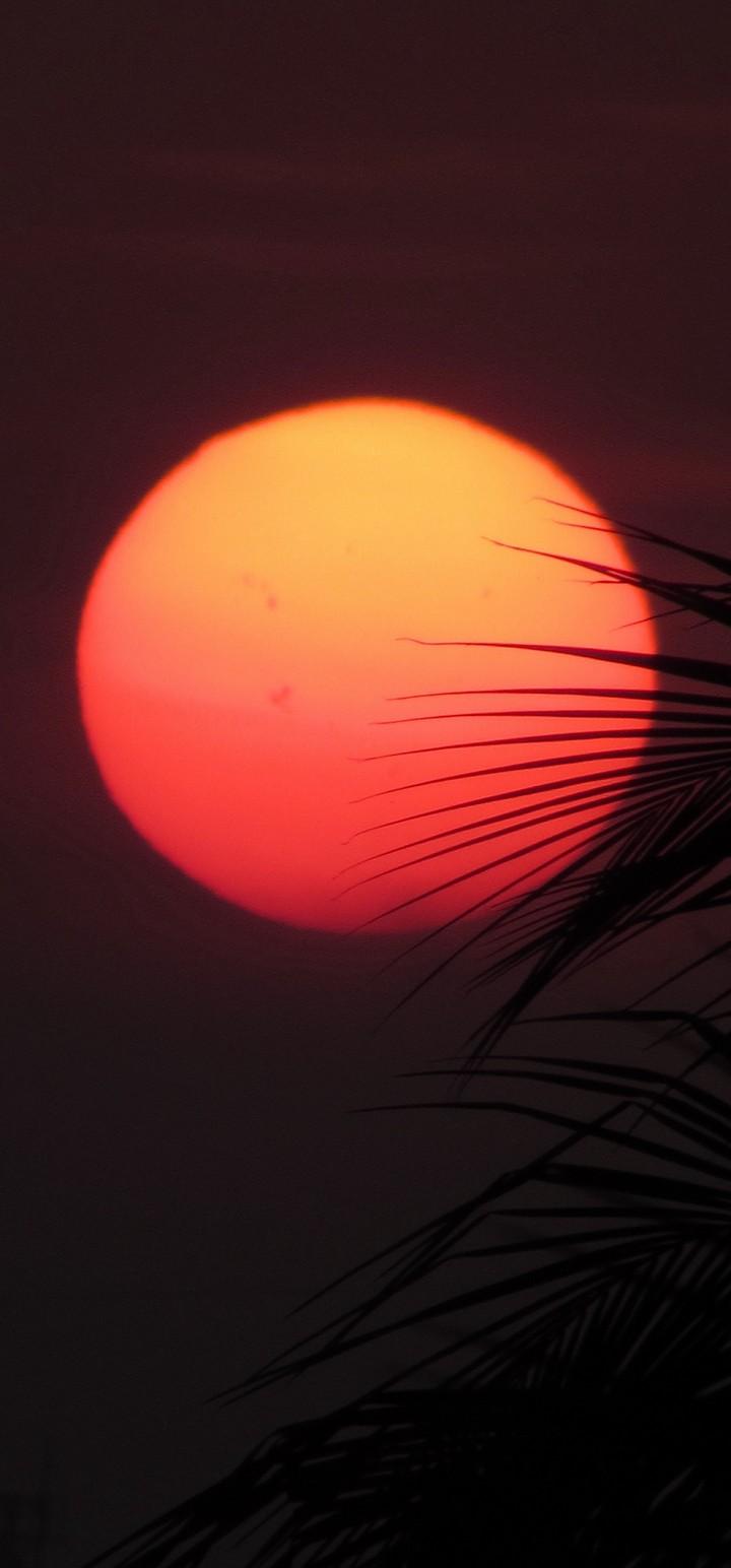 Sun Red Sunset Wallpaper - [720x1544]