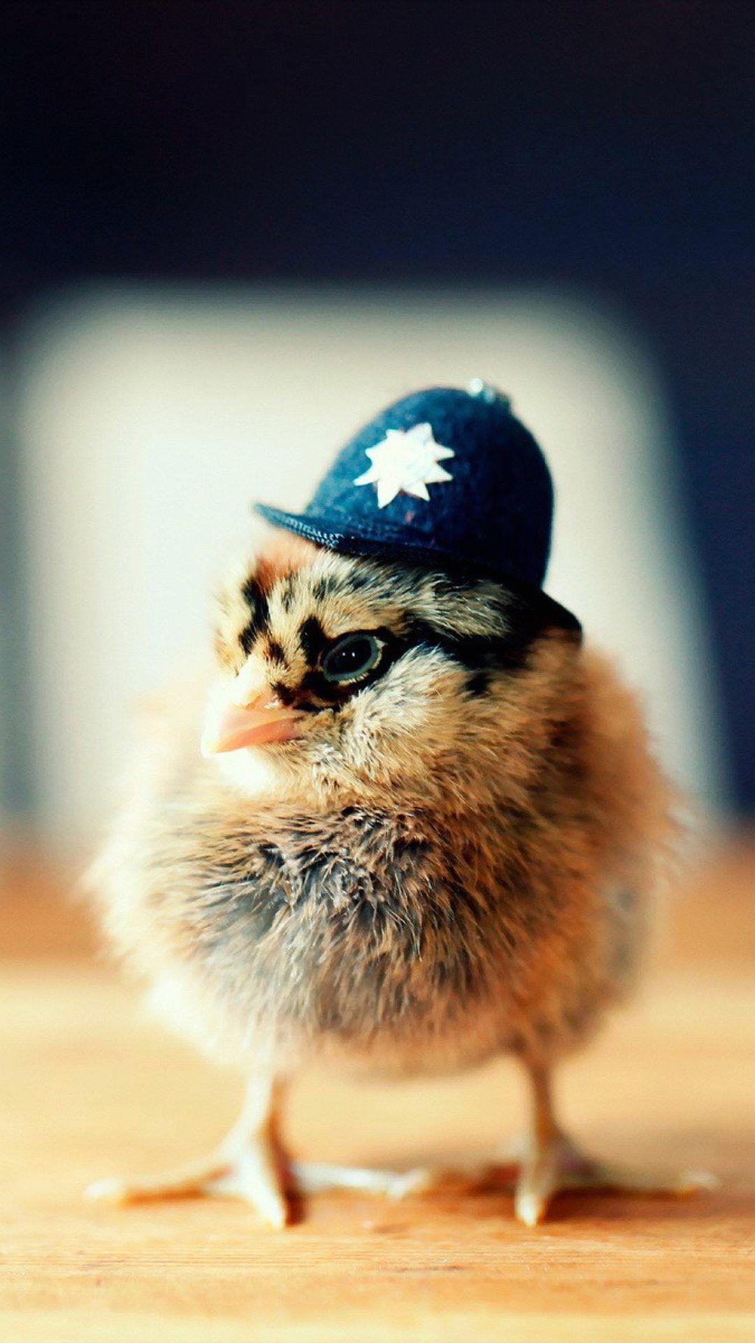 Police chick, so cute. Cute Animals iPhone Wallpaper