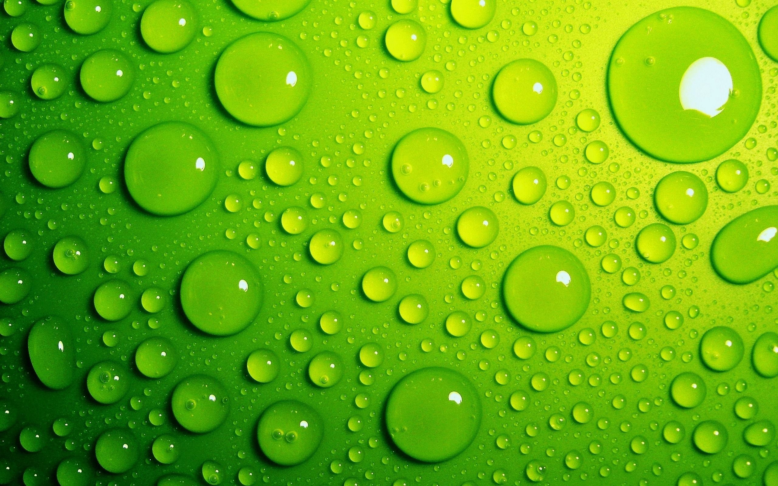 Download wallpaper green, background, drops, water free desktop