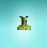 Green Roots Billie Fortnite Wallpapers