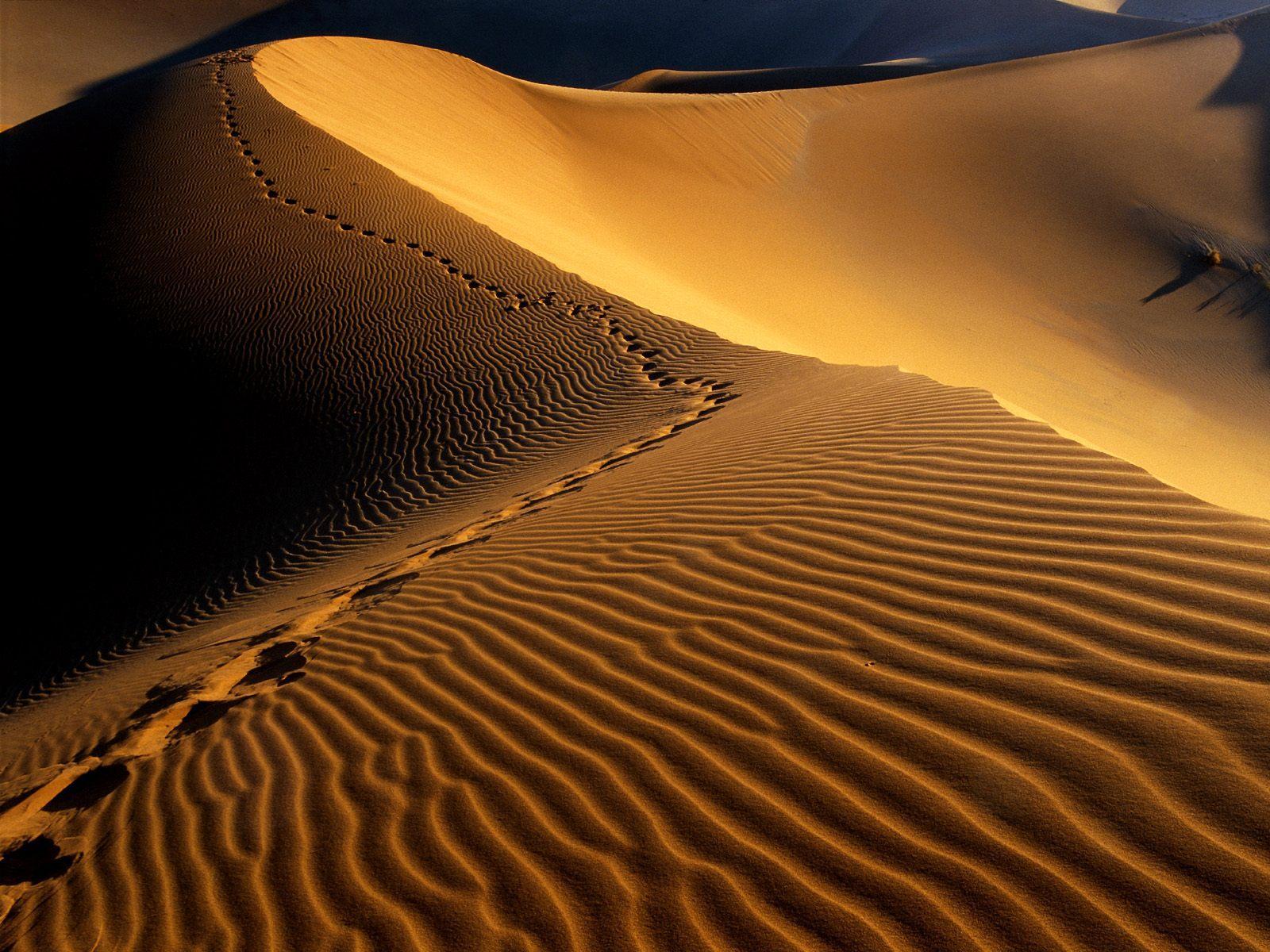 Footprints on sand dunes free desktop background wallpaper