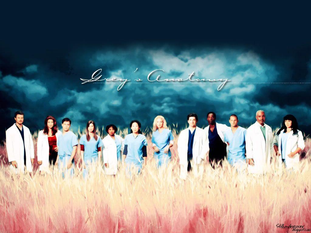 Grey's Anatomy Promo Picture Wallpaper. TV Fanart, Wallpaper & Icon