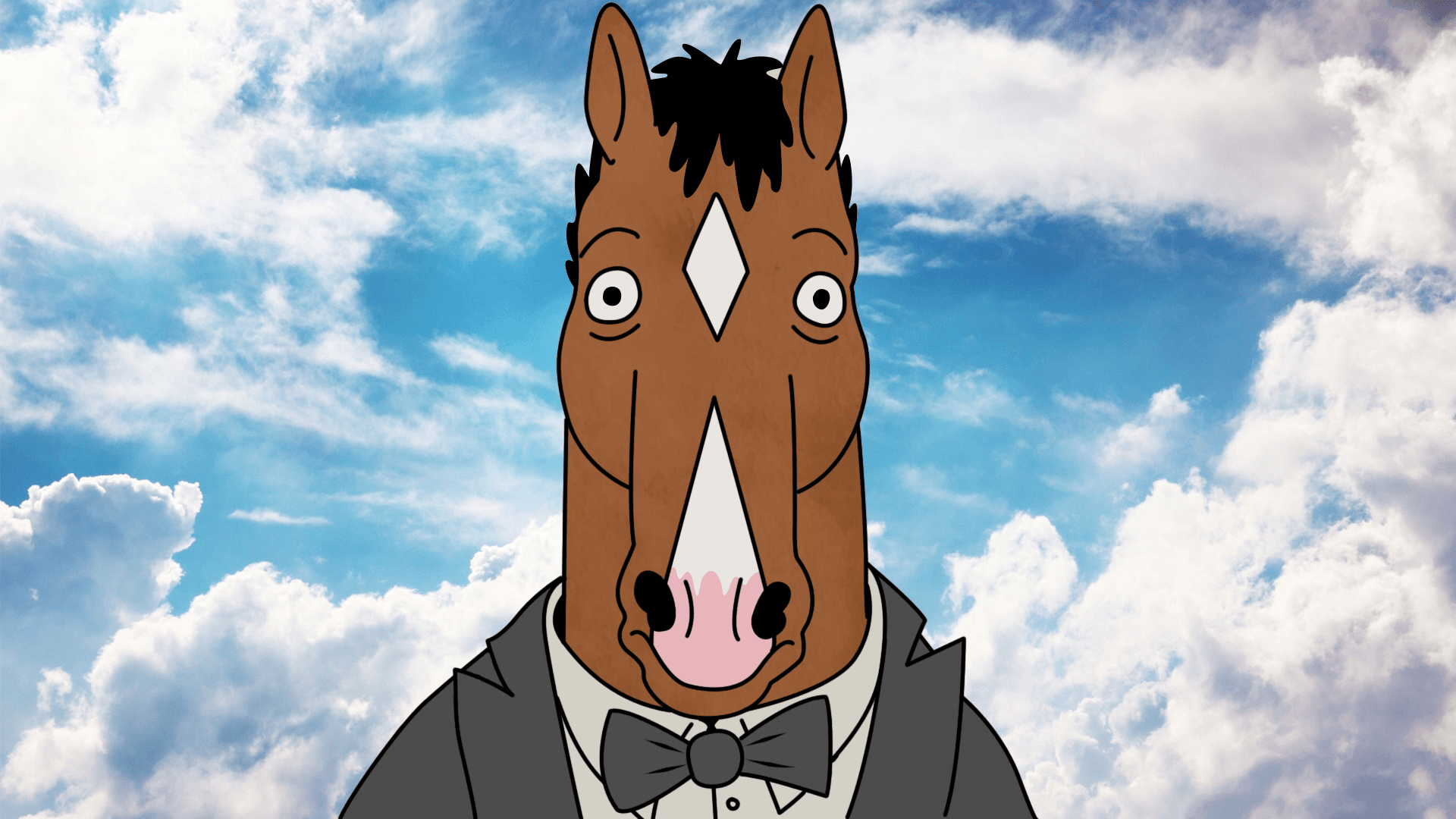 BoJack Horseman, Cartoon Wallpaper HD / Desktop and Mobile