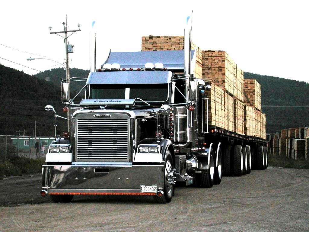 best Freightliner Truck's image