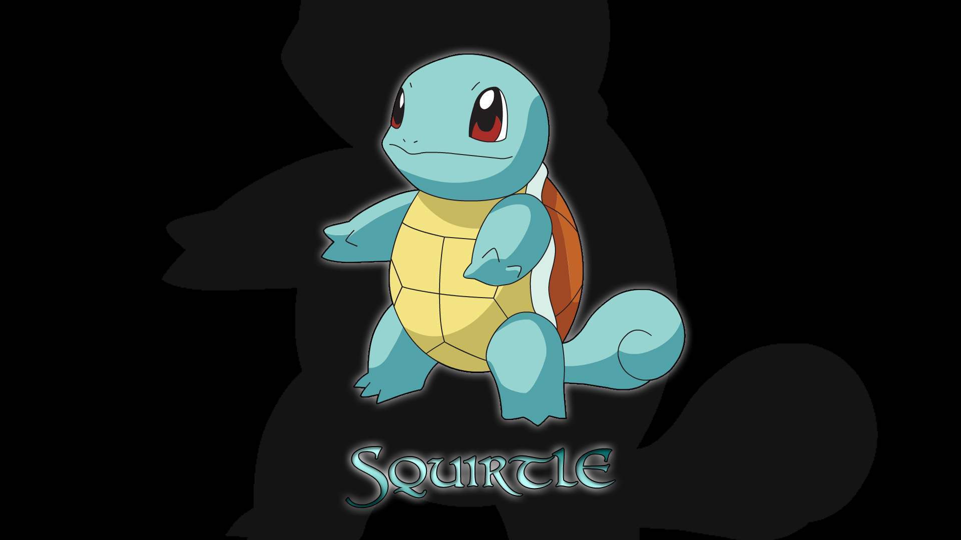Water -Type Pokemon image squirtle HD wallpaper and background