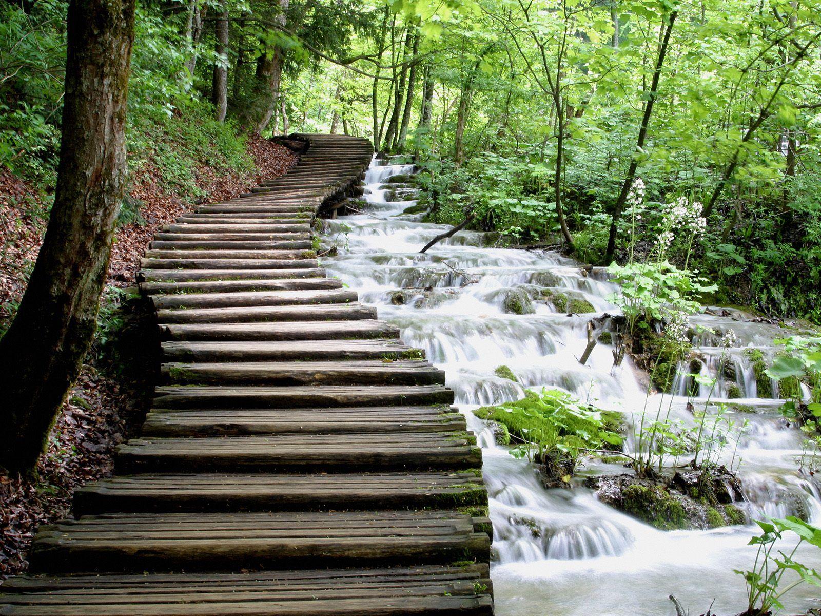 Croatia's Plitvice Lakes, 16 lakes in the mountains covered