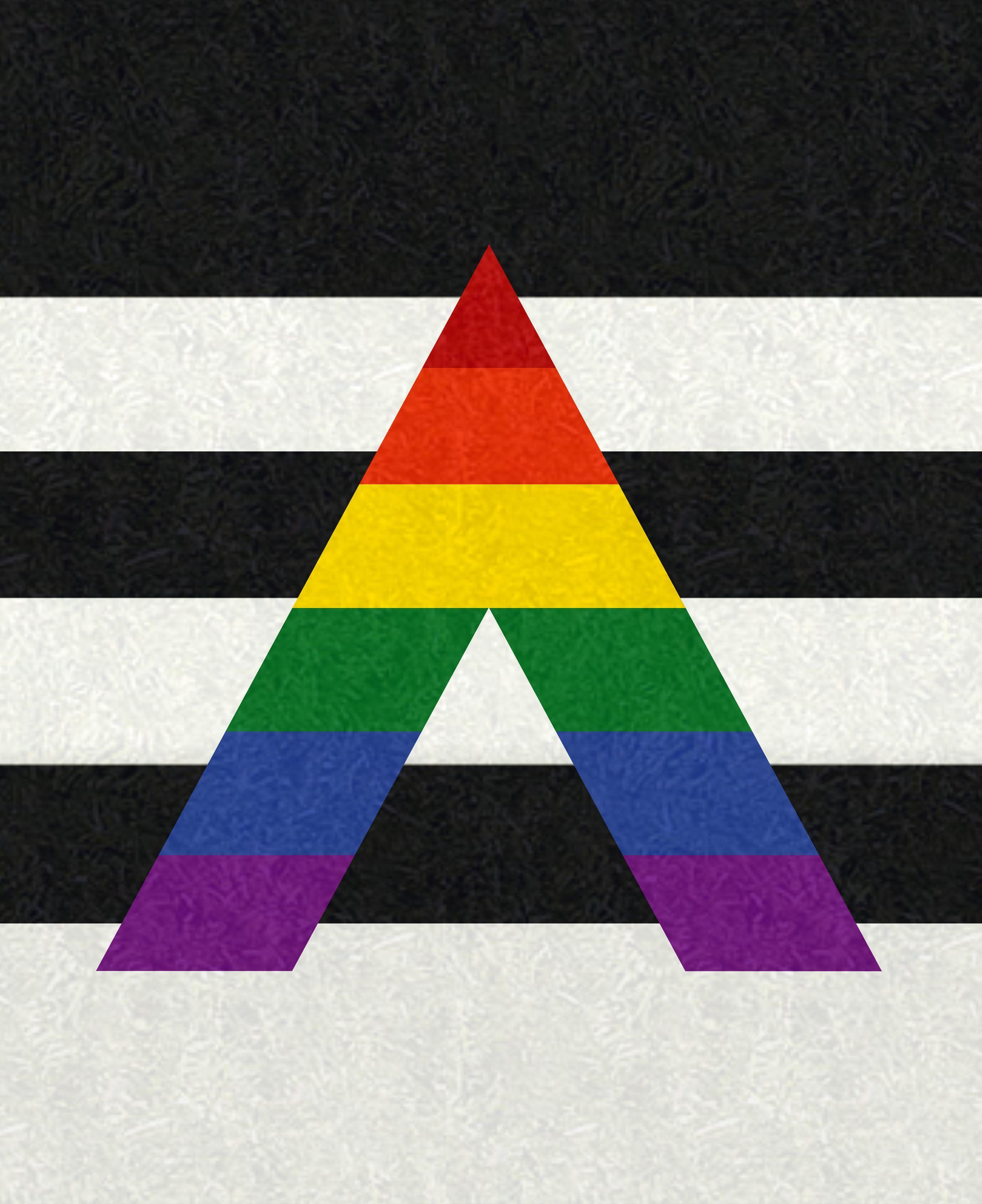 Customizable LGBT Ally Pride Flag. Black and white stripe flag