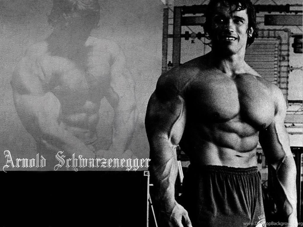 Arnold Schwarzenegger Wallpaper High Resolution And Quality