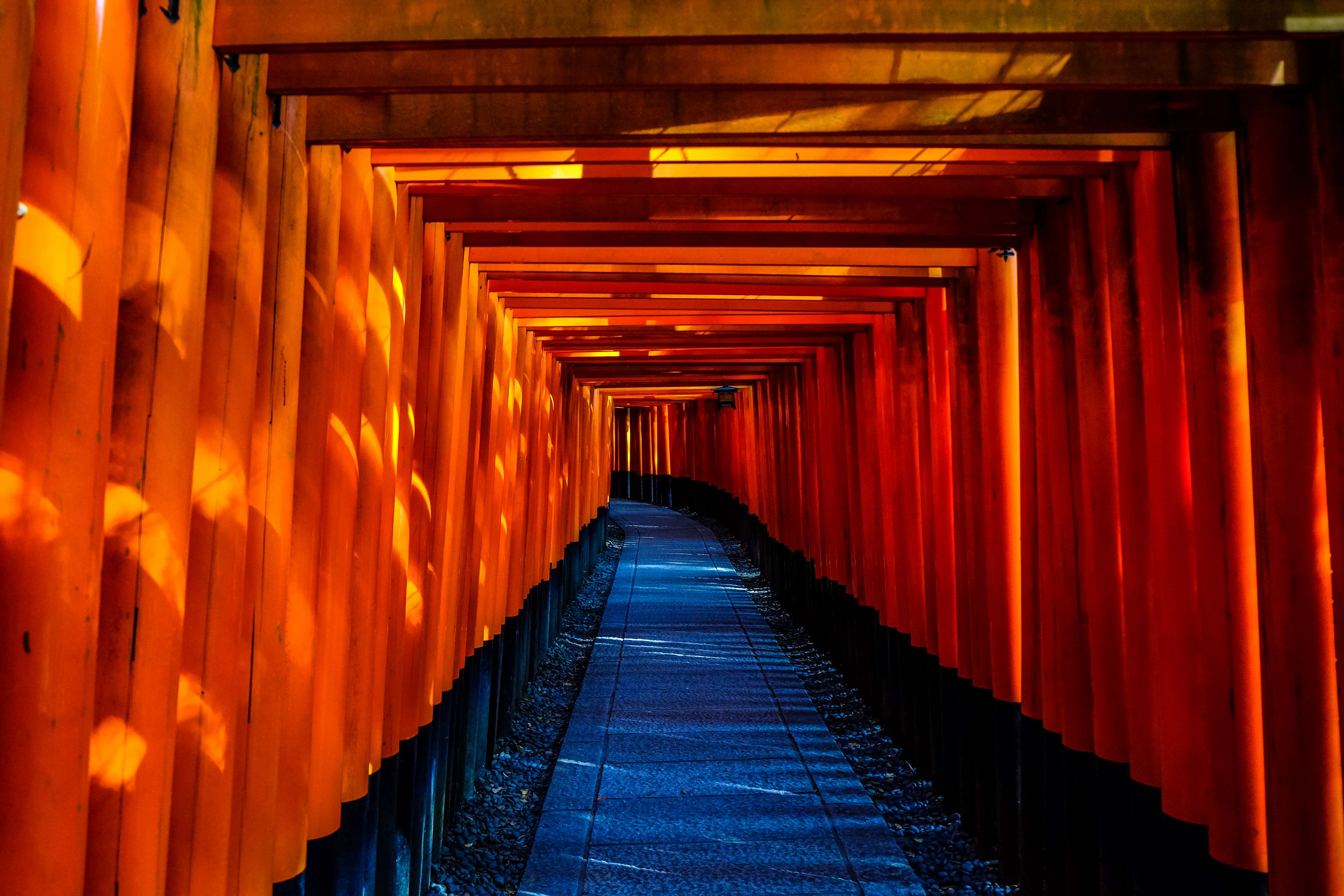 fushimi inari taisha, japan, temple, torii 4k wallpaper and background