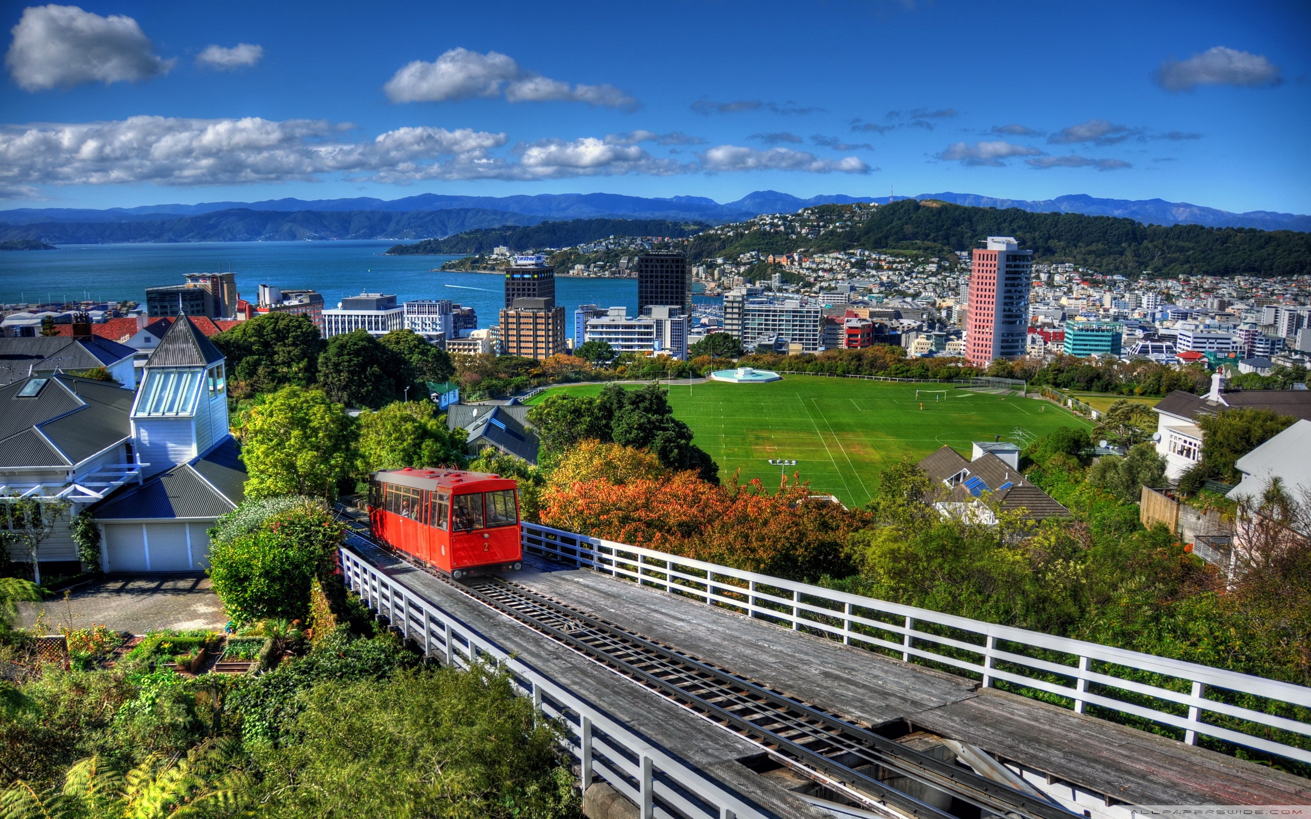 New Zealand Houses Wellington From Above ❤ 4K HD Desktop Wallpaper