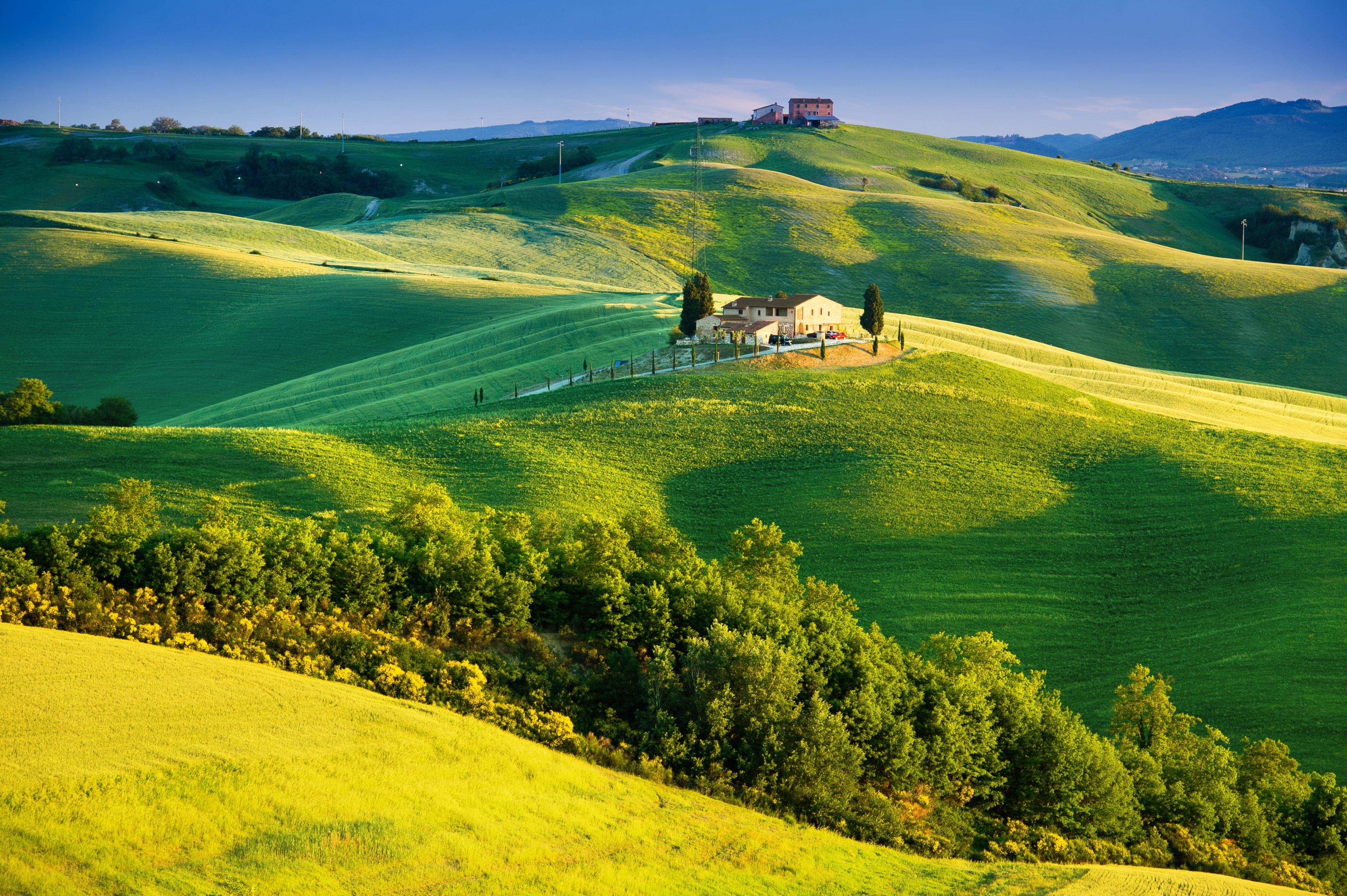 Wallpaper sunlight, Tuscany, countryside, Italy, nature, trees
