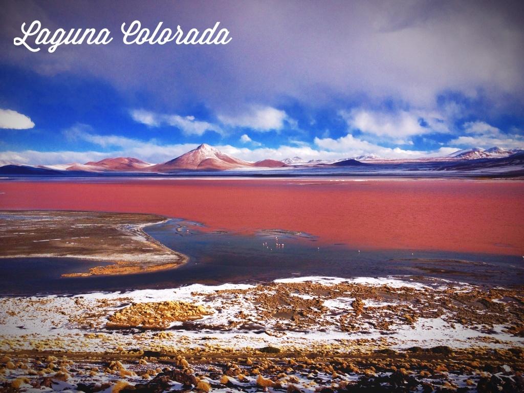 Laguna Colorada Reviews, Bolivia