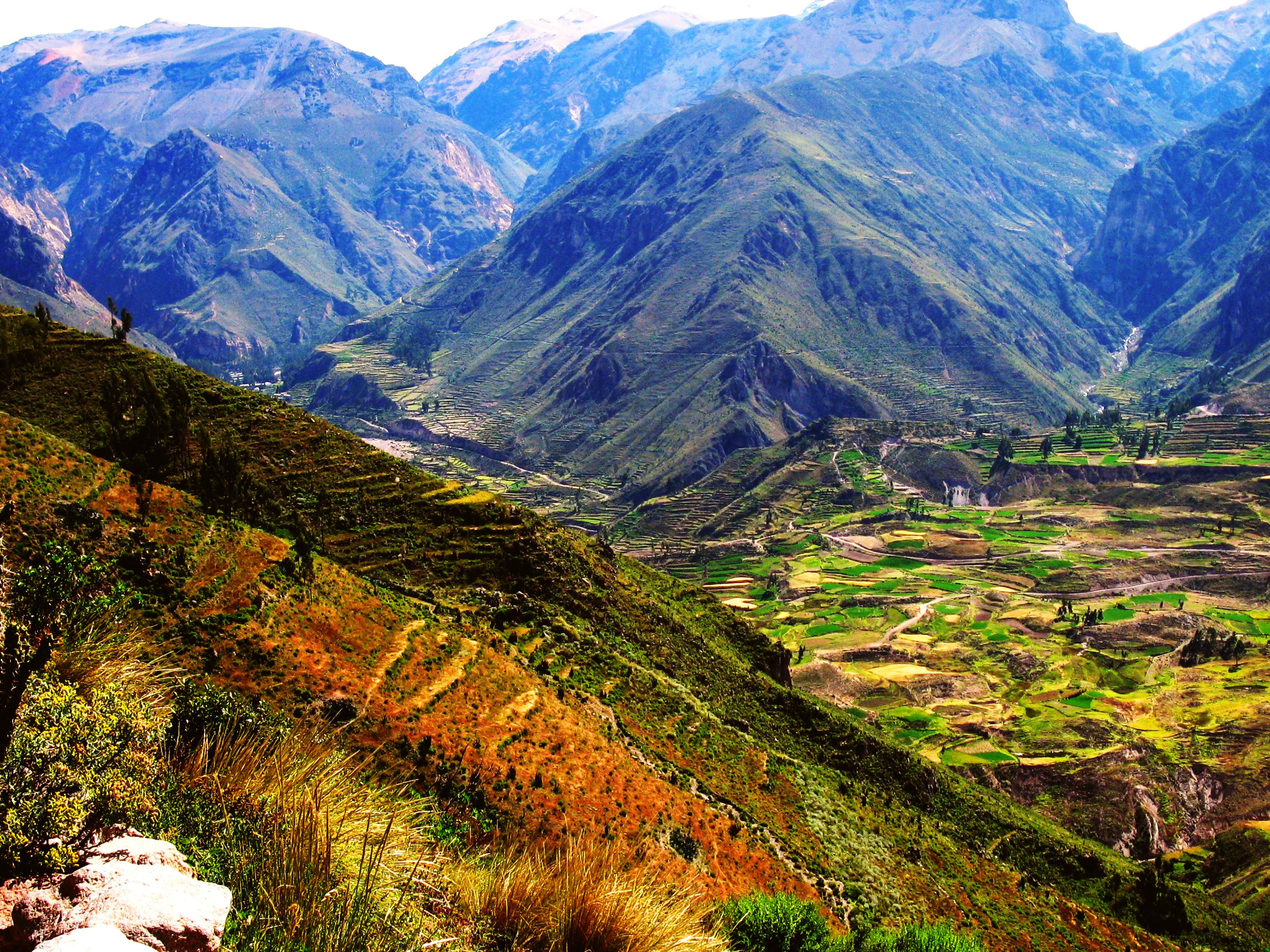 Colca Canyon Full Day - Peru Breathtaking Trips - Peru Tours